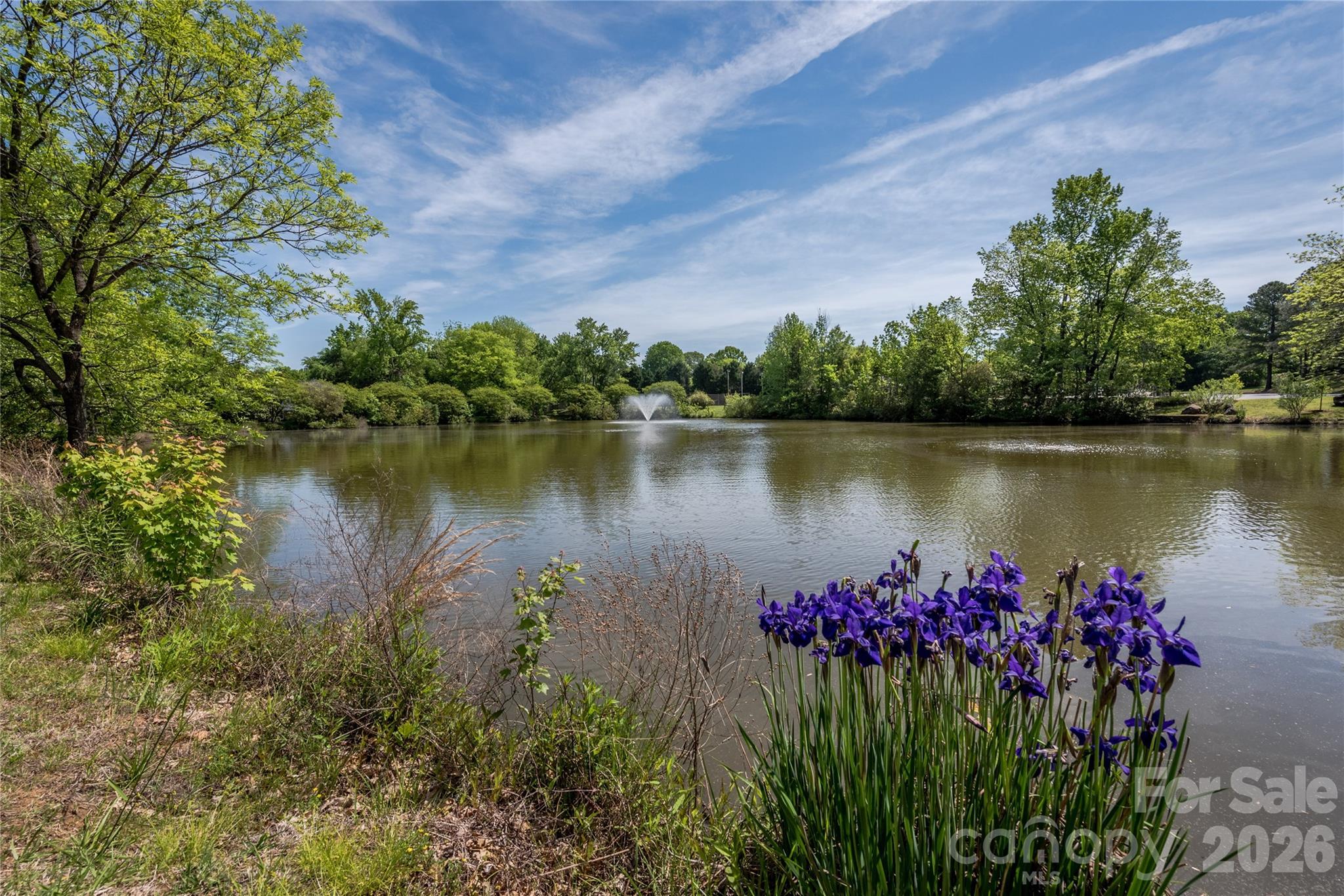 7306 Carrbridge Lane — Charlotte