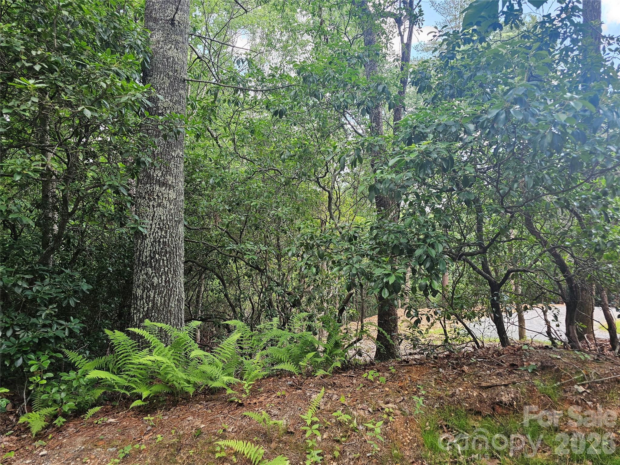 171 Duff Cove Road — Brevard