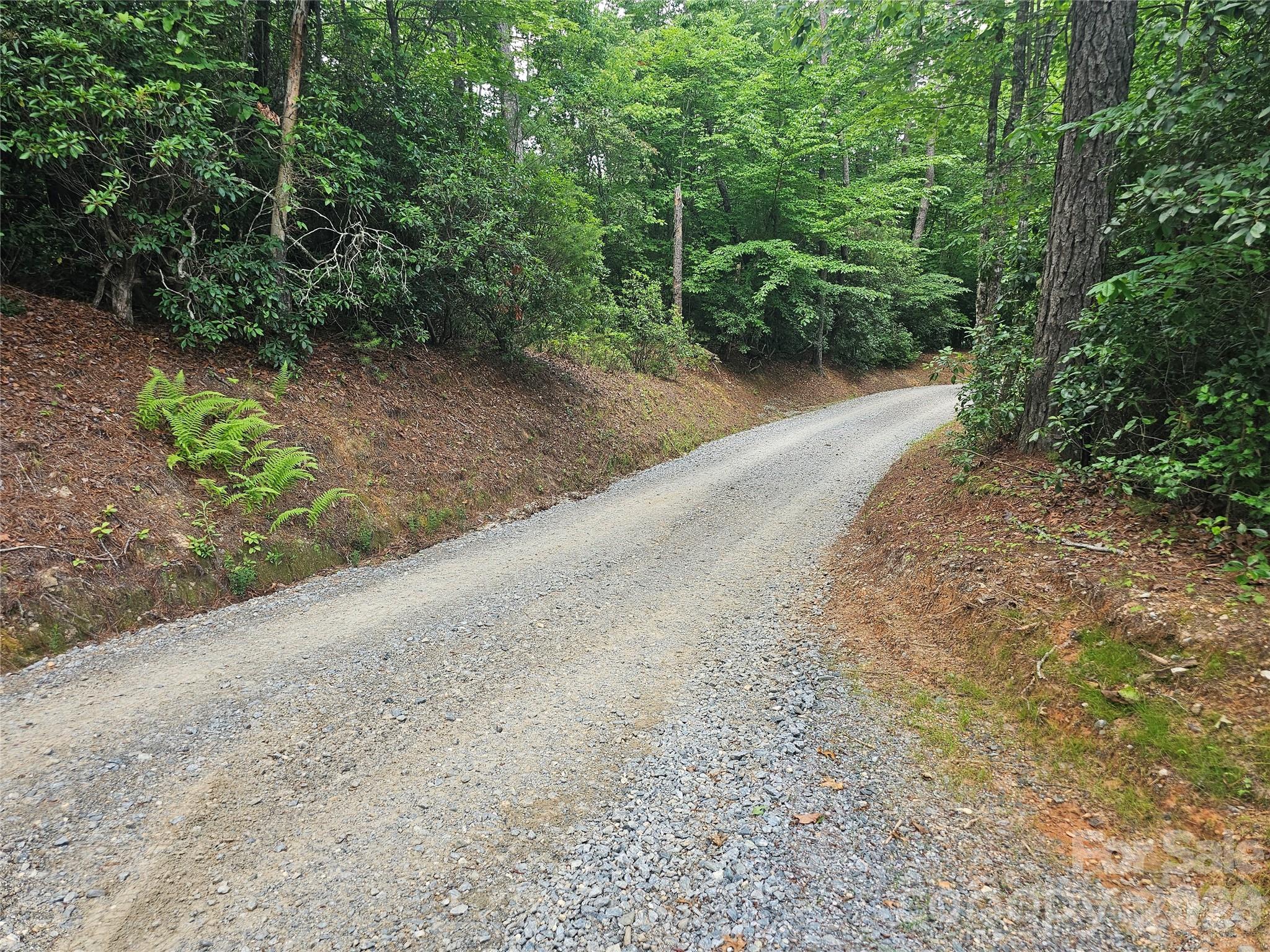 171 Duff Cove Road — Brevard