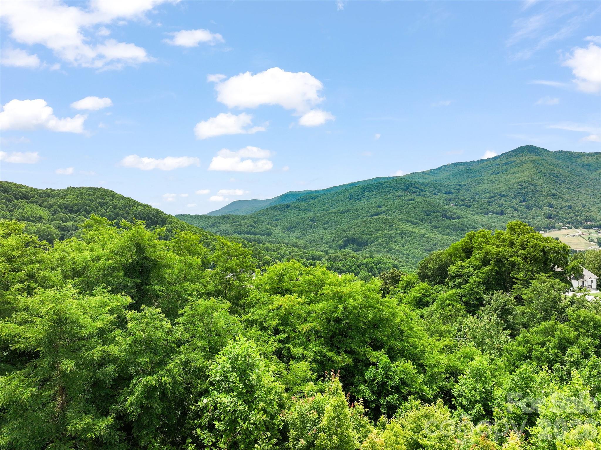 50 Blossom Drive — Waynesville