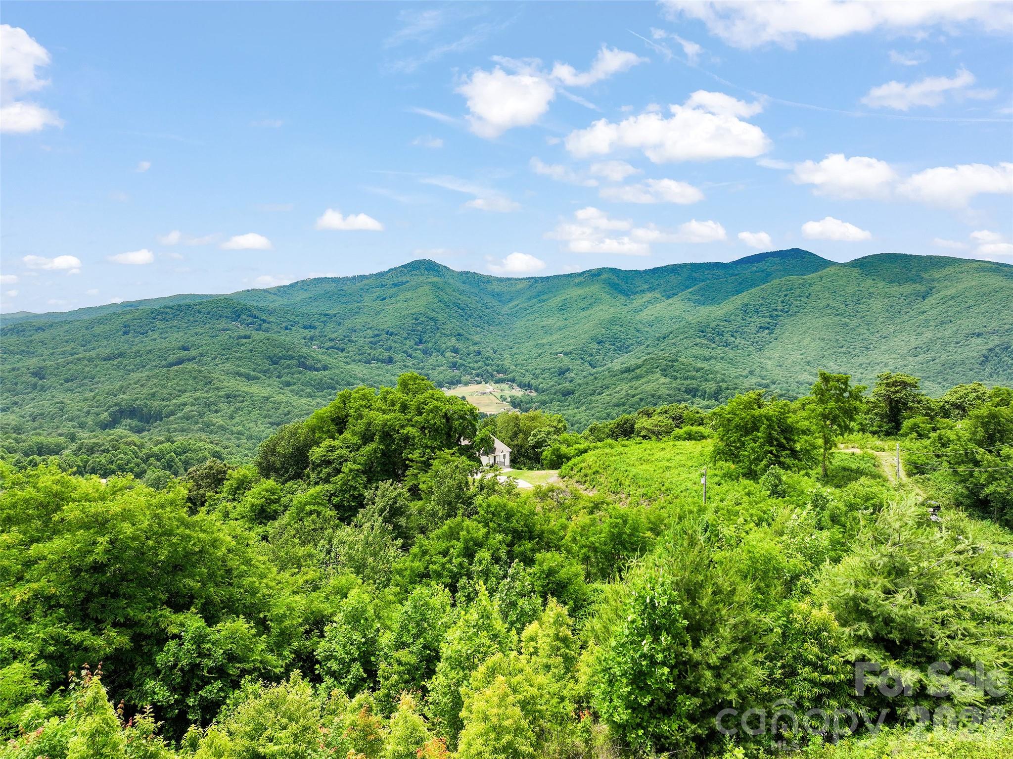 50 Blossom Drive — Waynesville