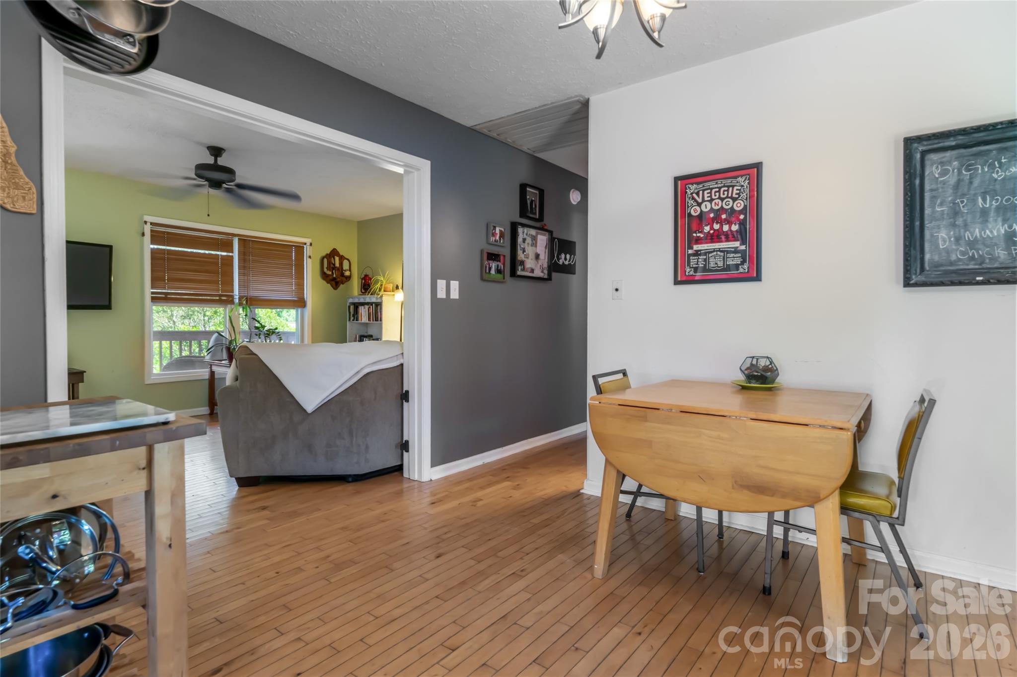 339 Hi Alta Avenue — Asheville