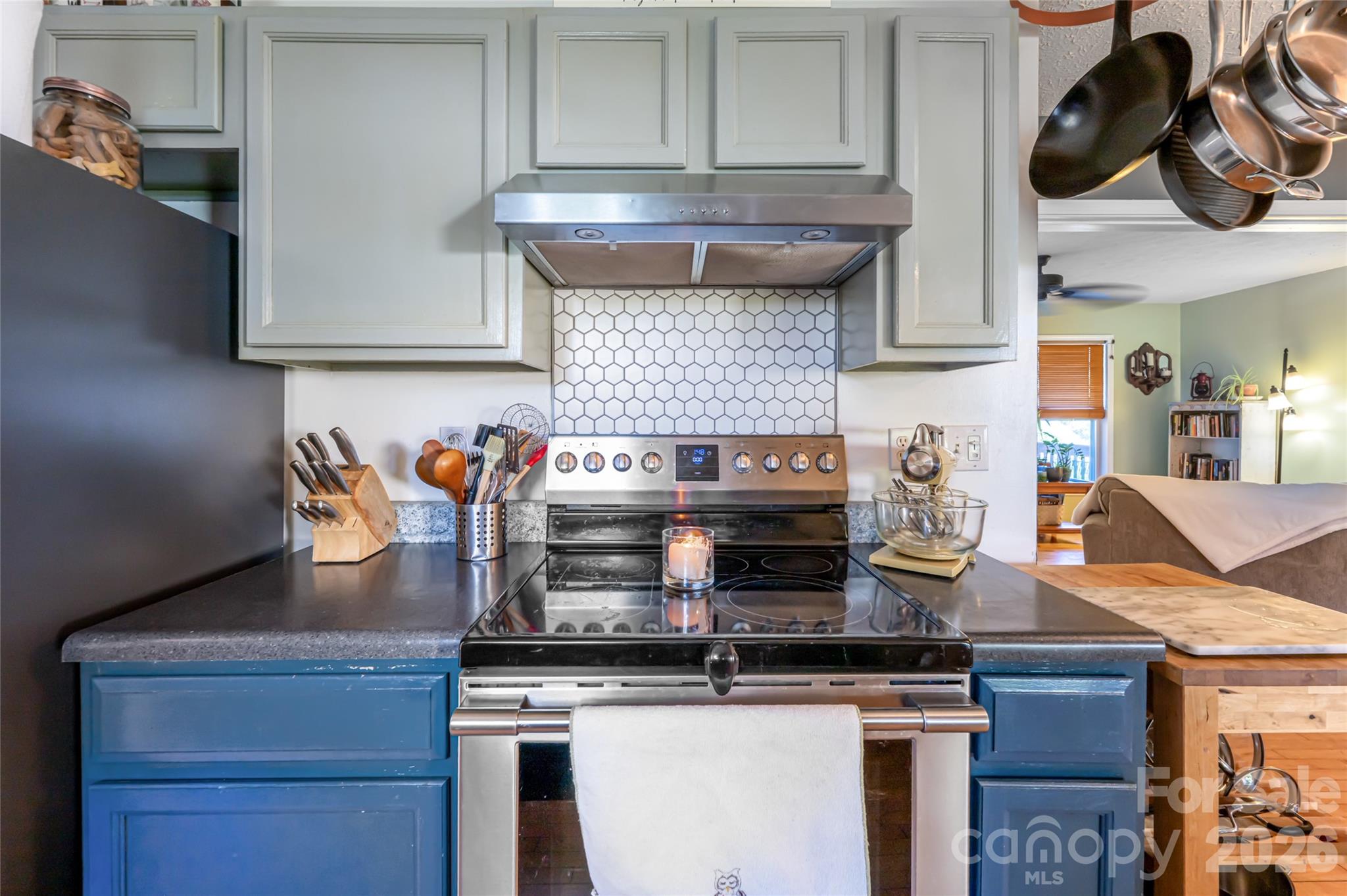 339 Hi Alta Avenue — Asheville