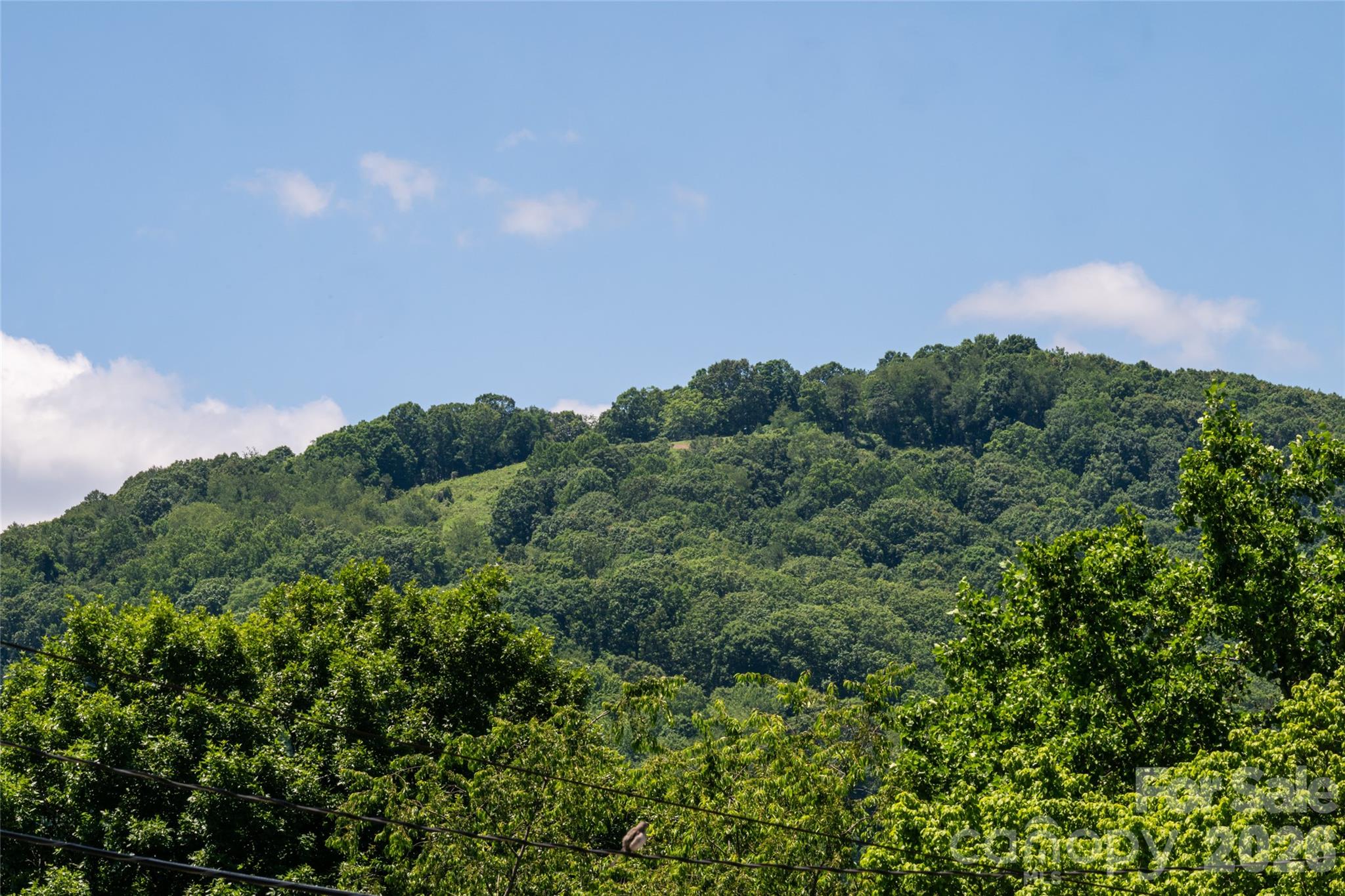 339 Hi Alta Avenue — Asheville