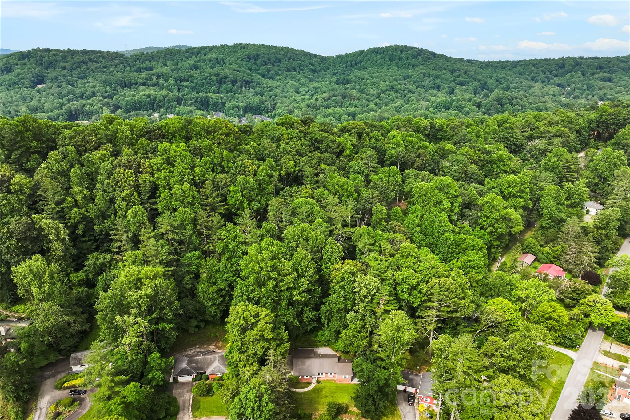 421 Comet Drive — Hendersonville
