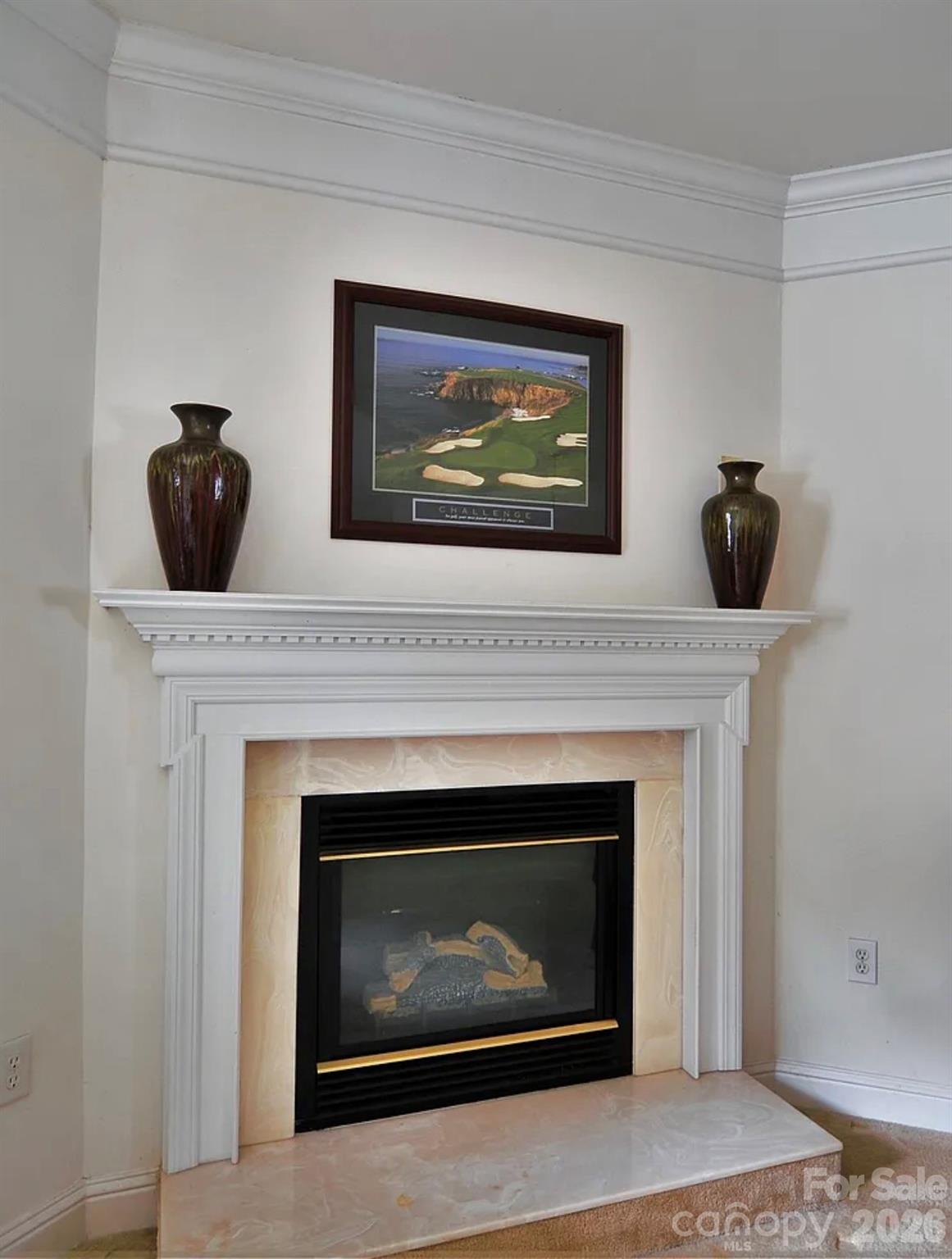 6918 Misty Pine Lane — Charlotte