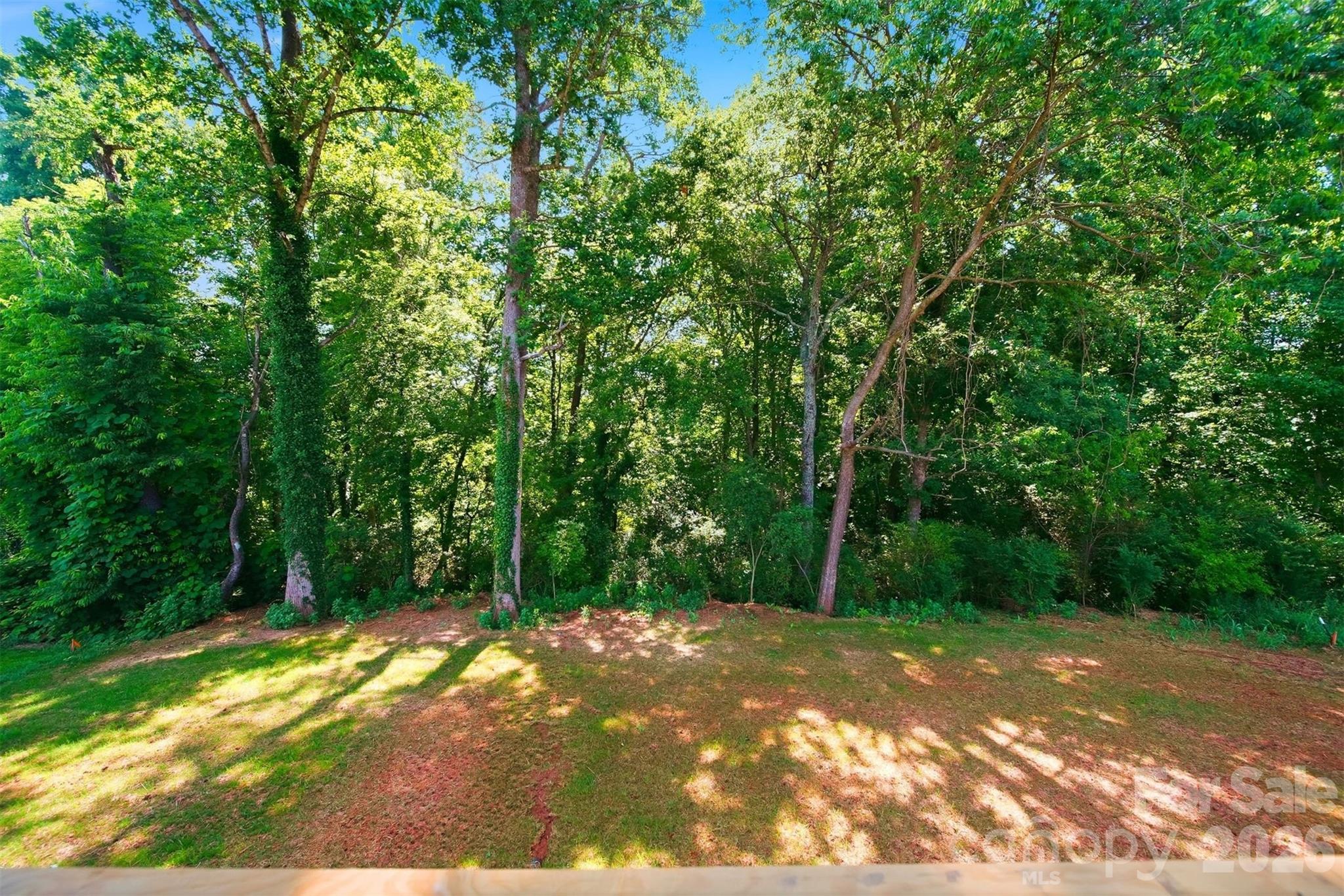 1917 Skyfall Lane — Hickory