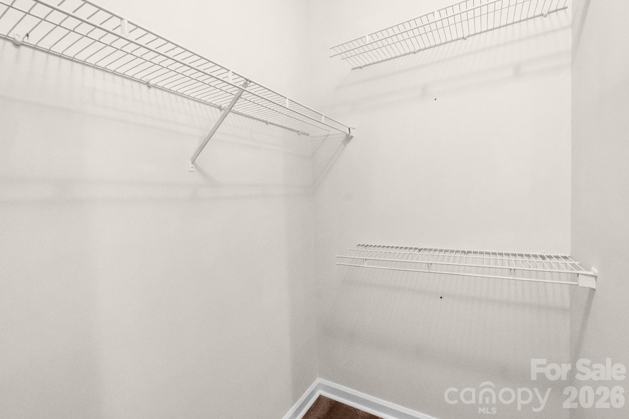 5322 Chinemist Court — Charlotte