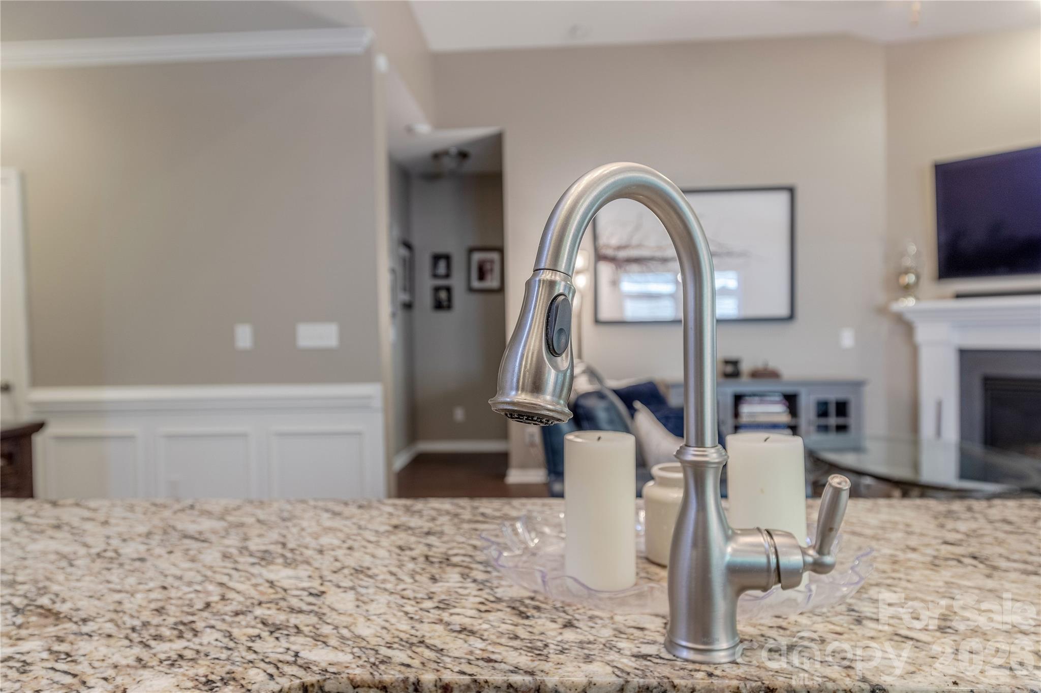 8115 Goodall Court — Charlotte