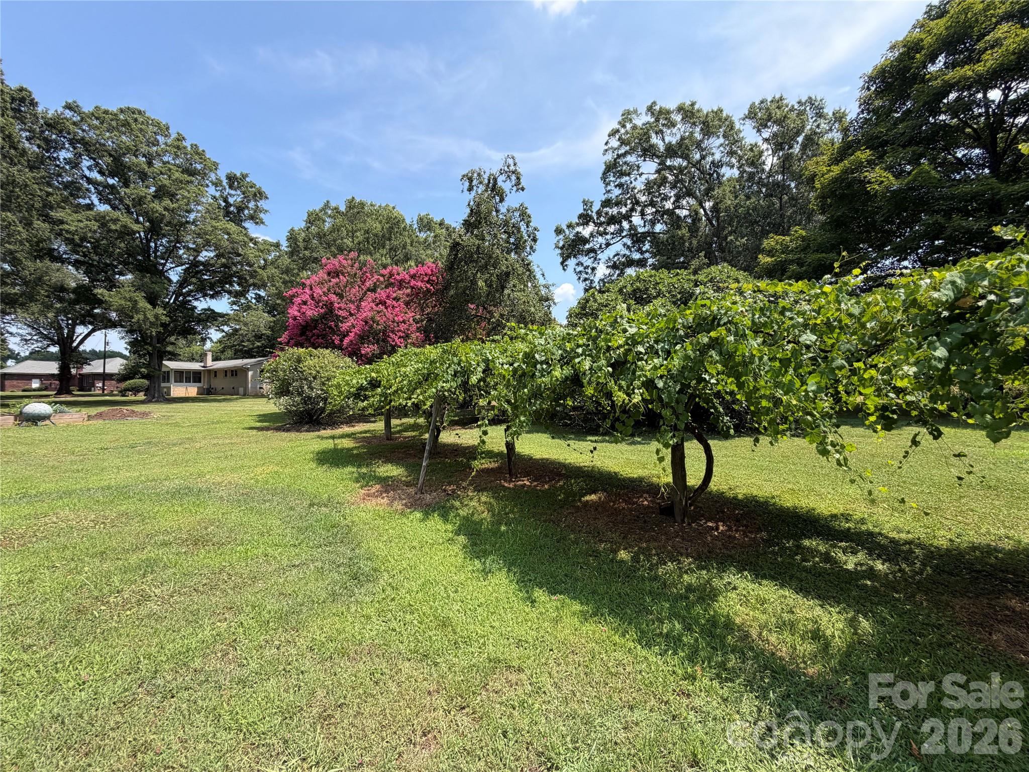3538 Back Creek Church Road — Charlotte