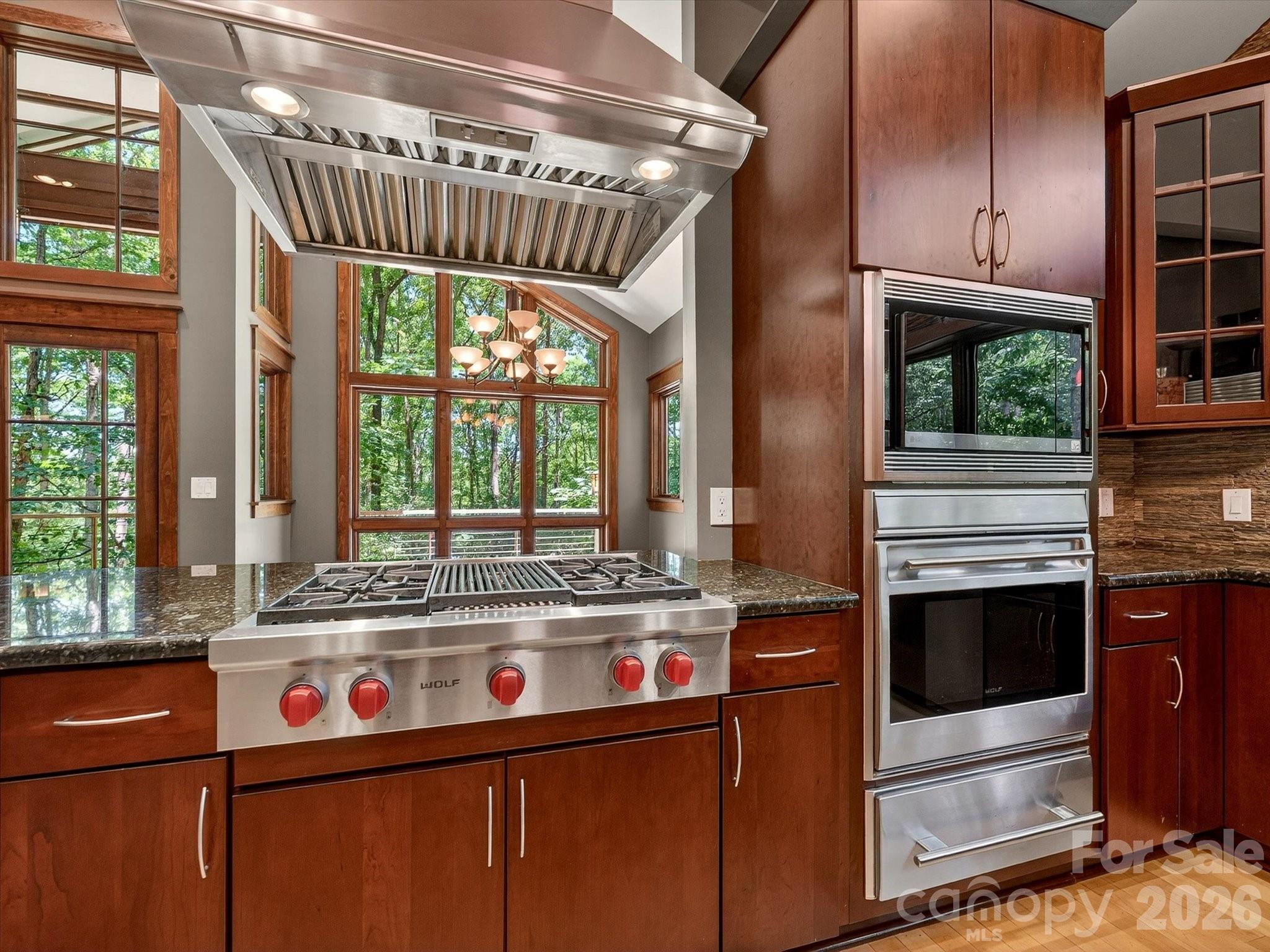 17928 Pages Pond Court — Davidson