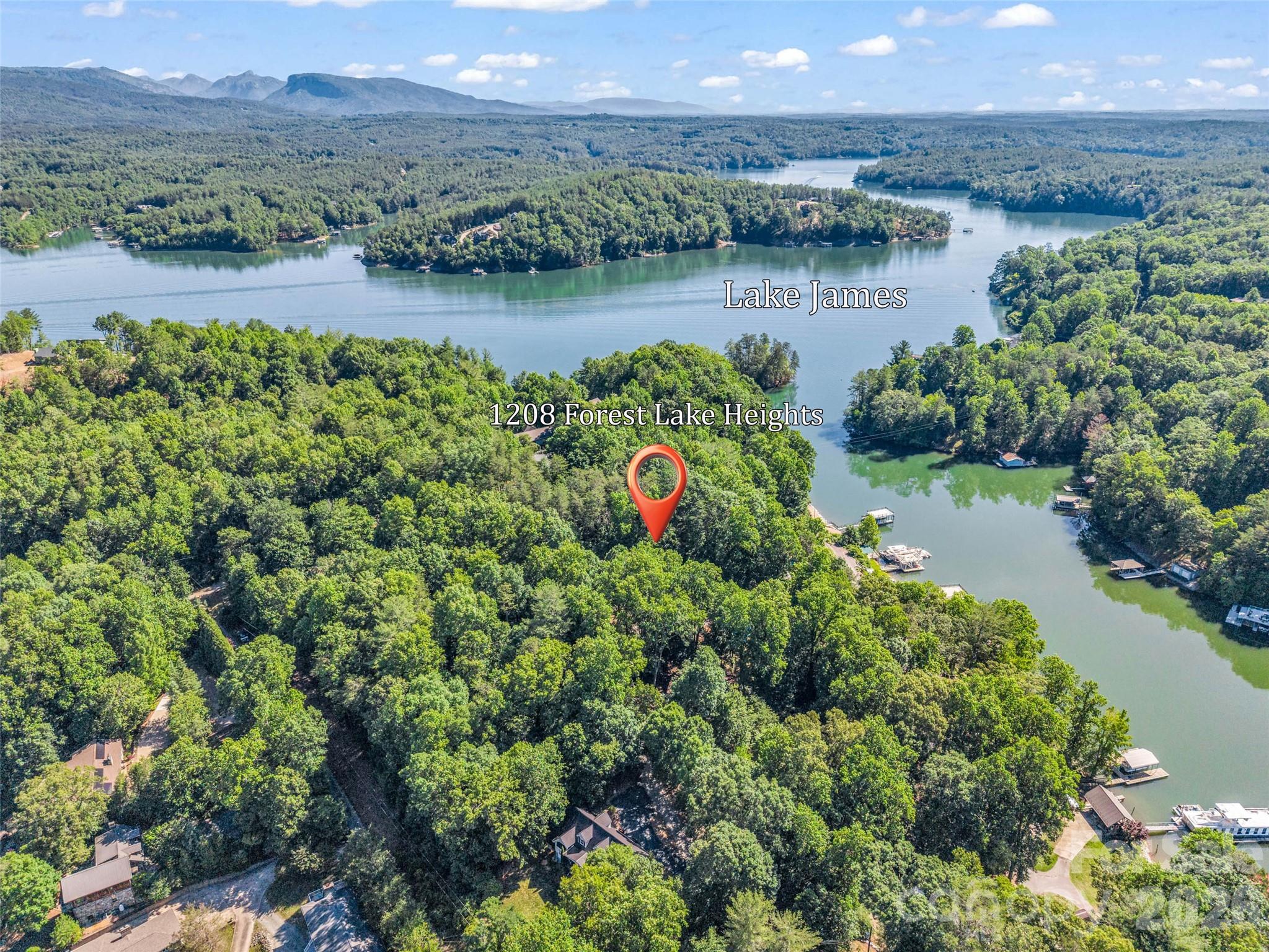 1208 Forest Lake Heights Drive — Nebo