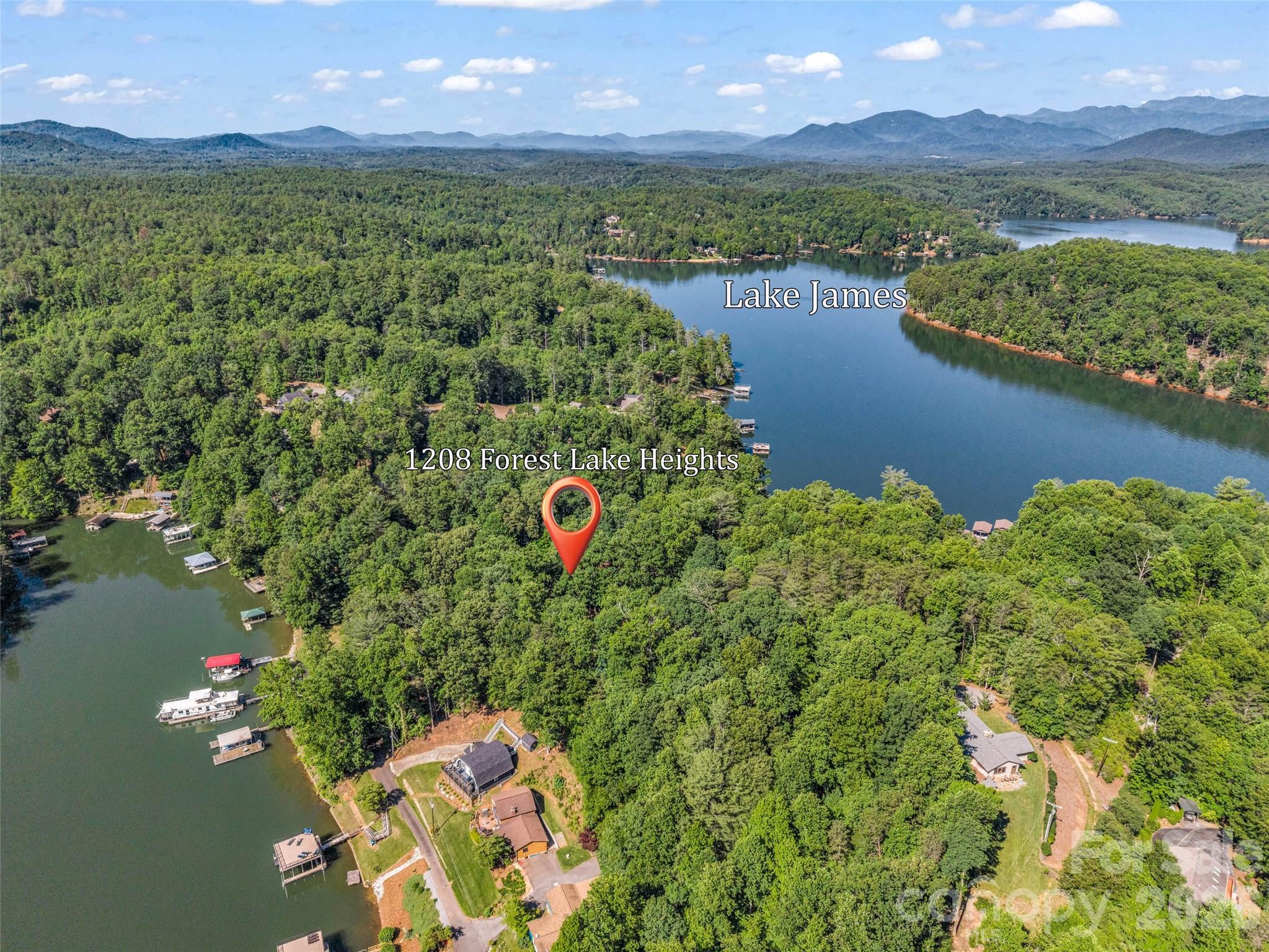 1208 Forest Lake Heights Drive — Nebo