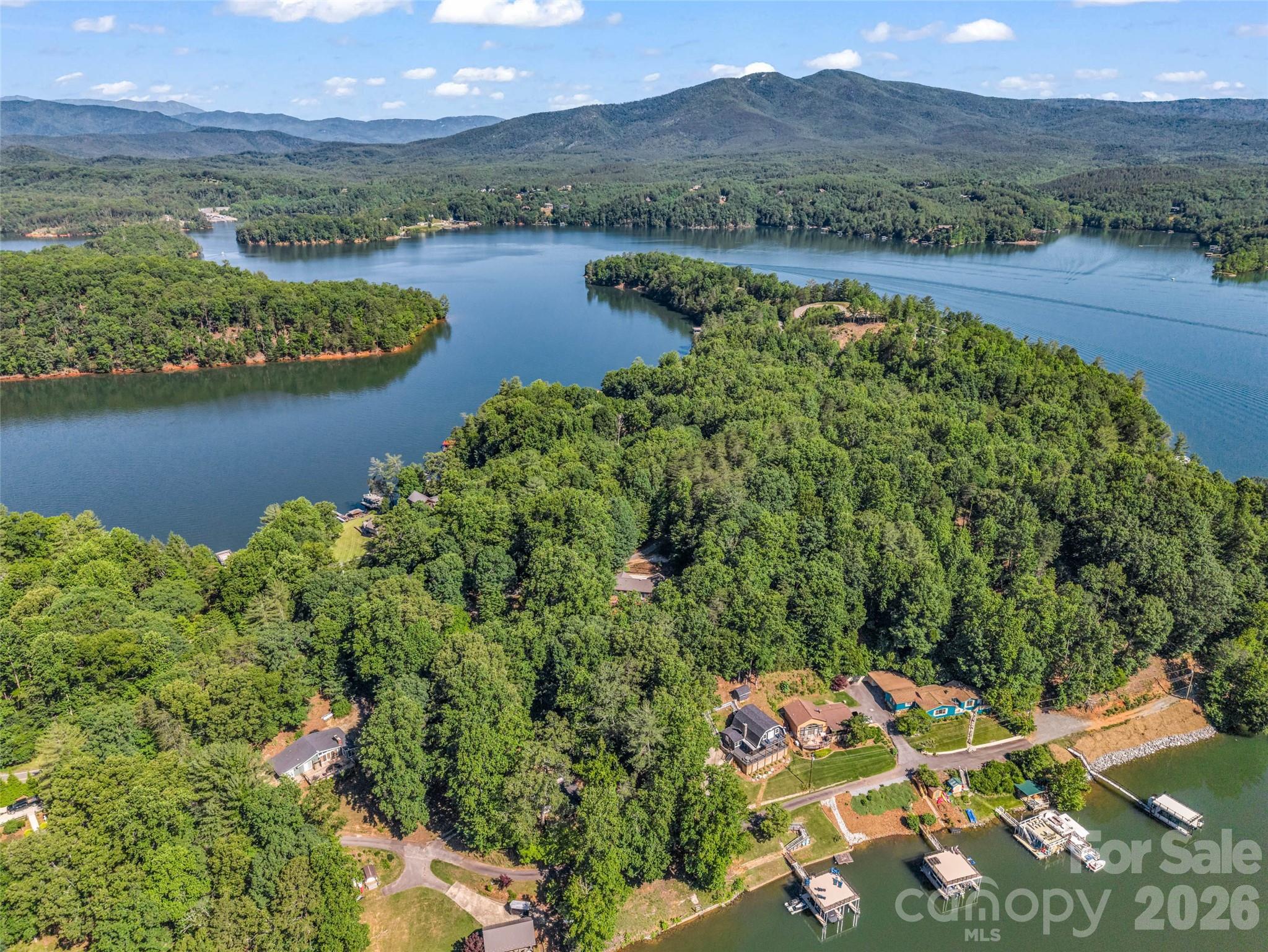 1208 Forest Lake Heights Drive — Nebo