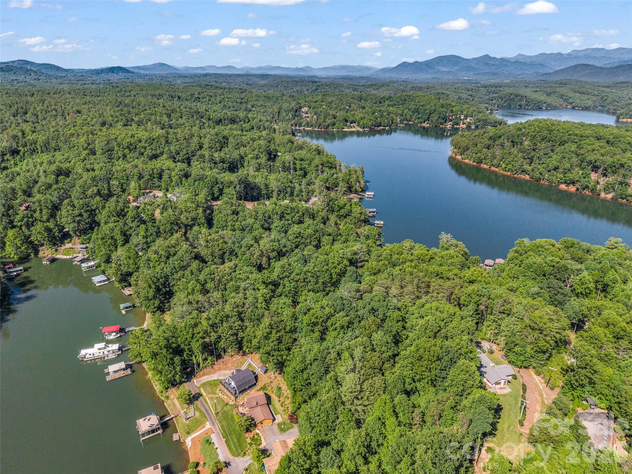 1208 Forest Lake Heights Drive — Nebo