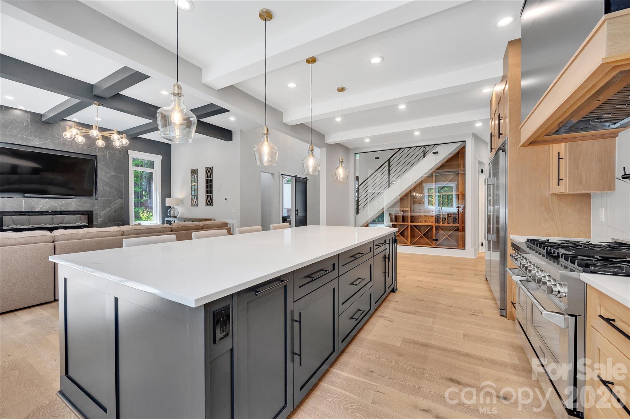 4010 Spindrift Cove Drive — Denver