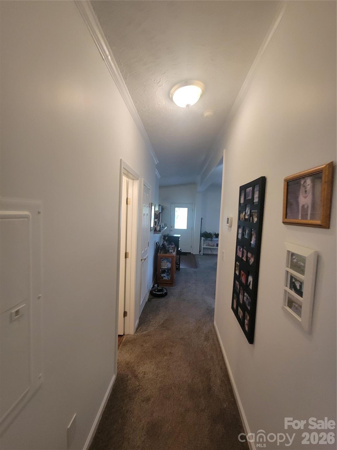 131 Dahlia Lane — Waynesville