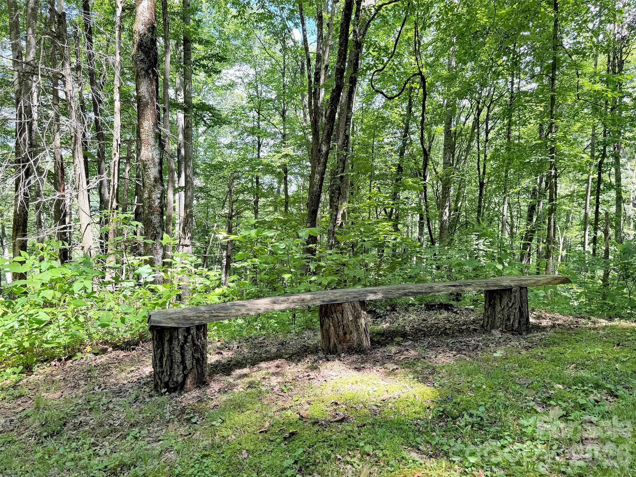 85 Lady Slipper Trail — Hot Springs