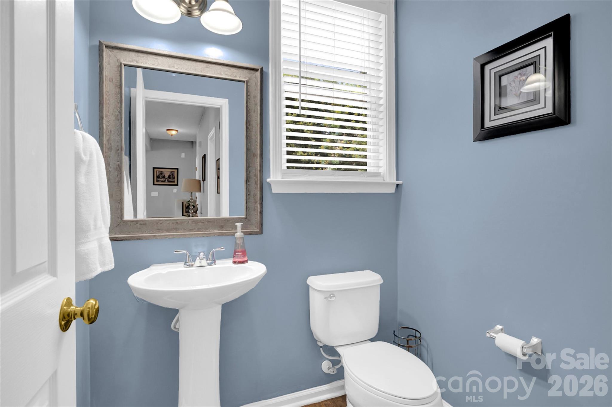 10104 Treetop Lane — Cornelius