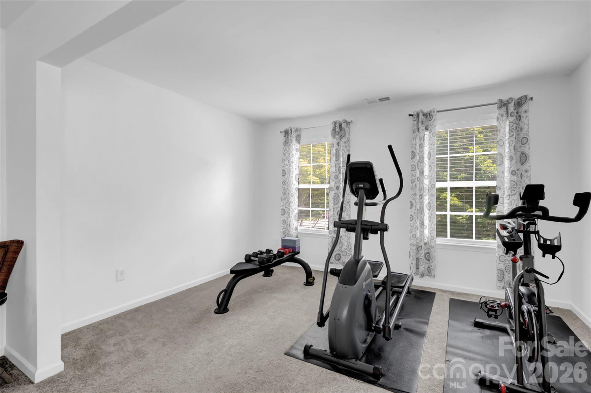 10104 Treetop Lane — Cornelius