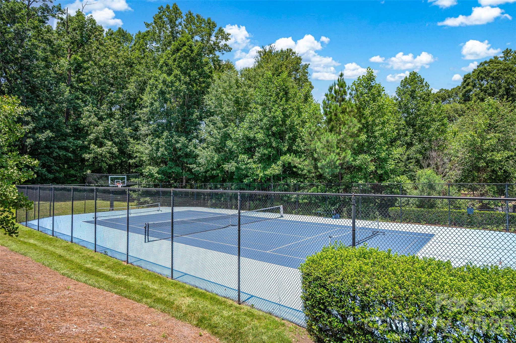 10104 Treetop Lane — Cornelius