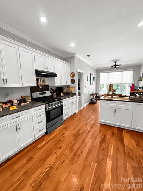 167 Green Meadows Drive — Forest City