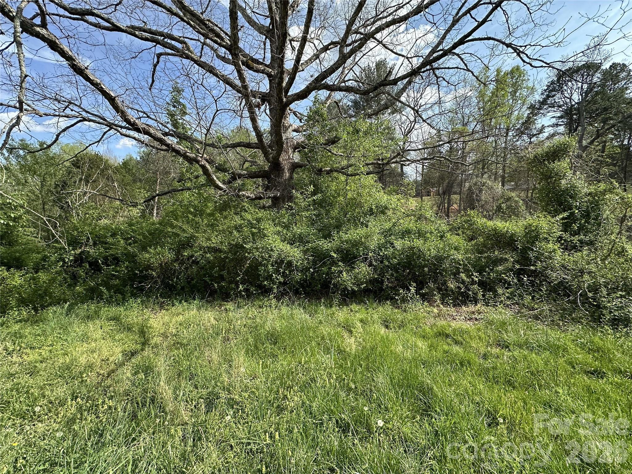 5149 Deer Meadow Lane — Morganton