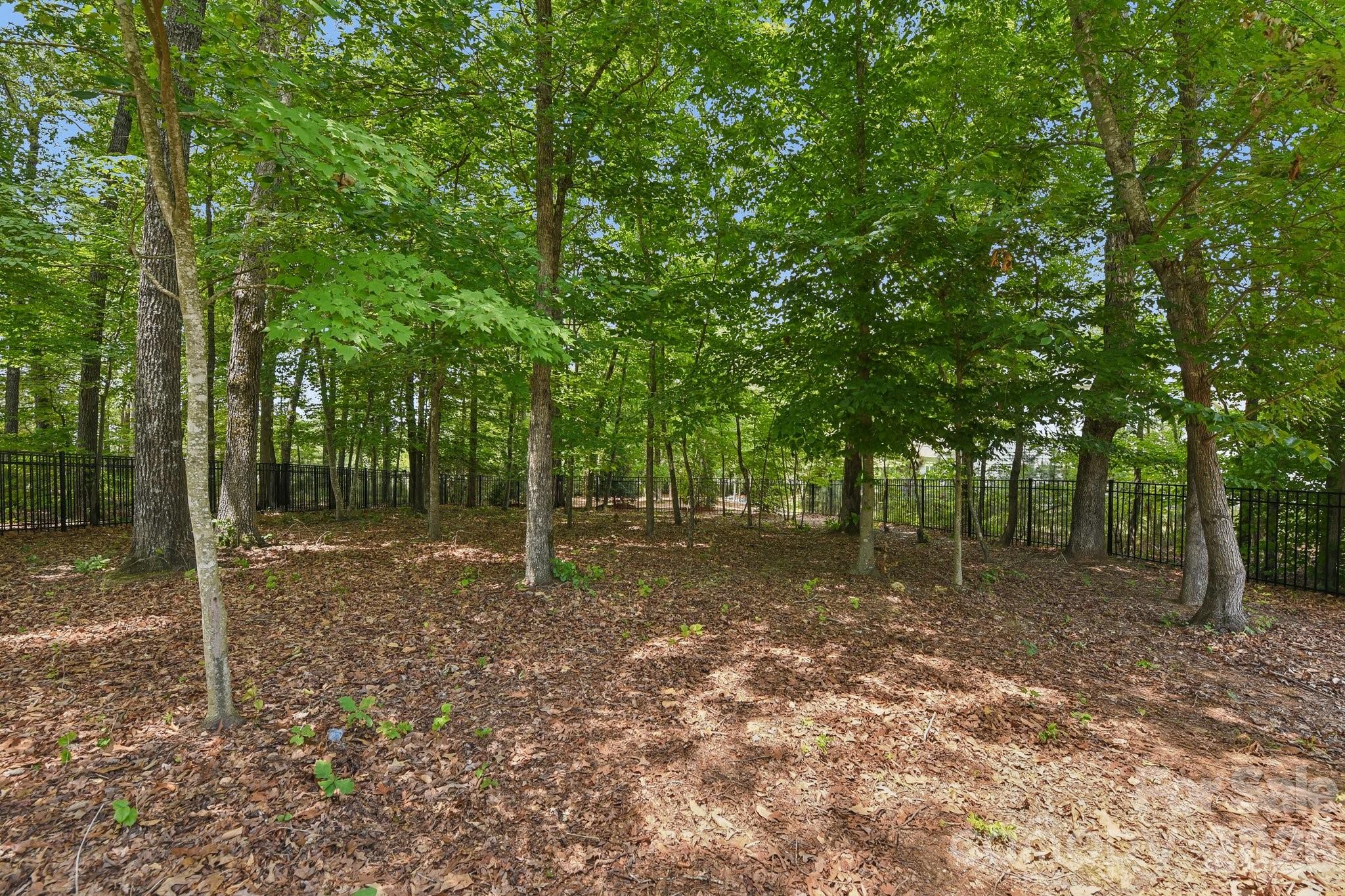 410 Kensington Park Way — Waxhaw