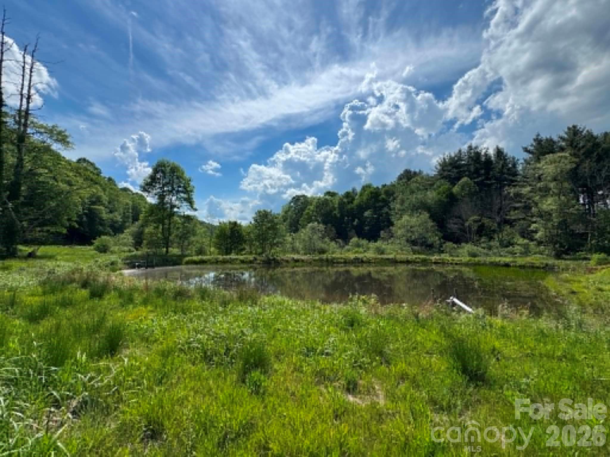 1298 Air Bellows Gap Road — Sparta