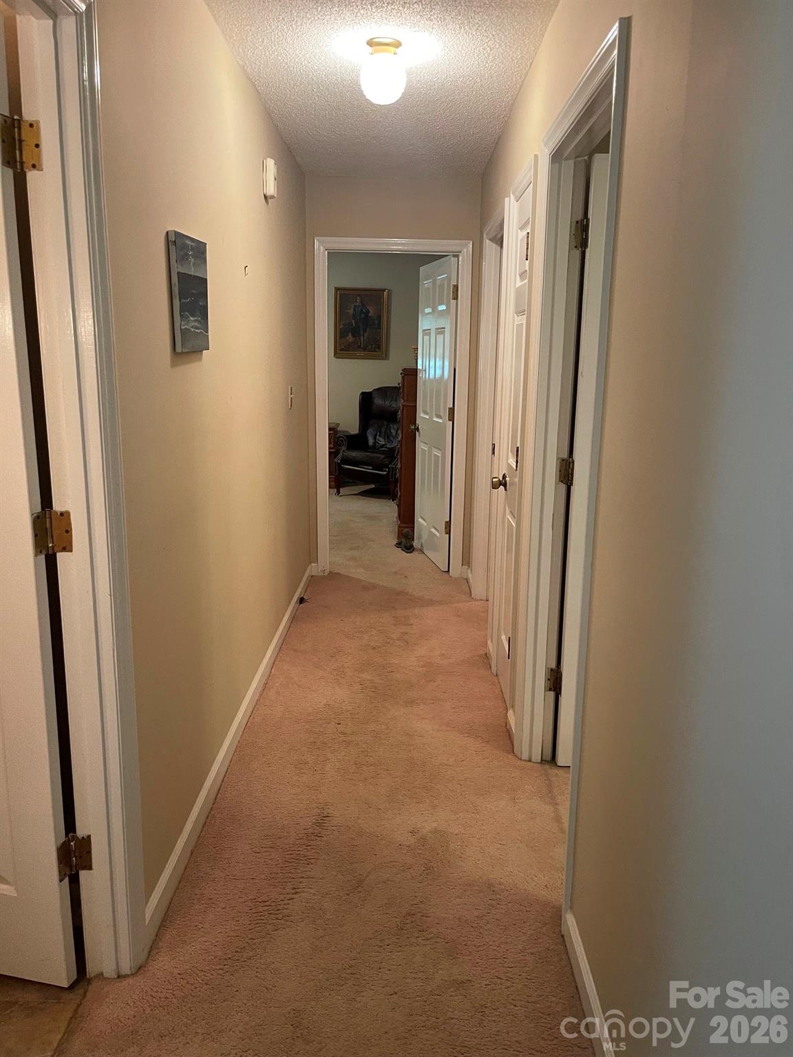 8806 Crestwood Drive — Mount Pleasant