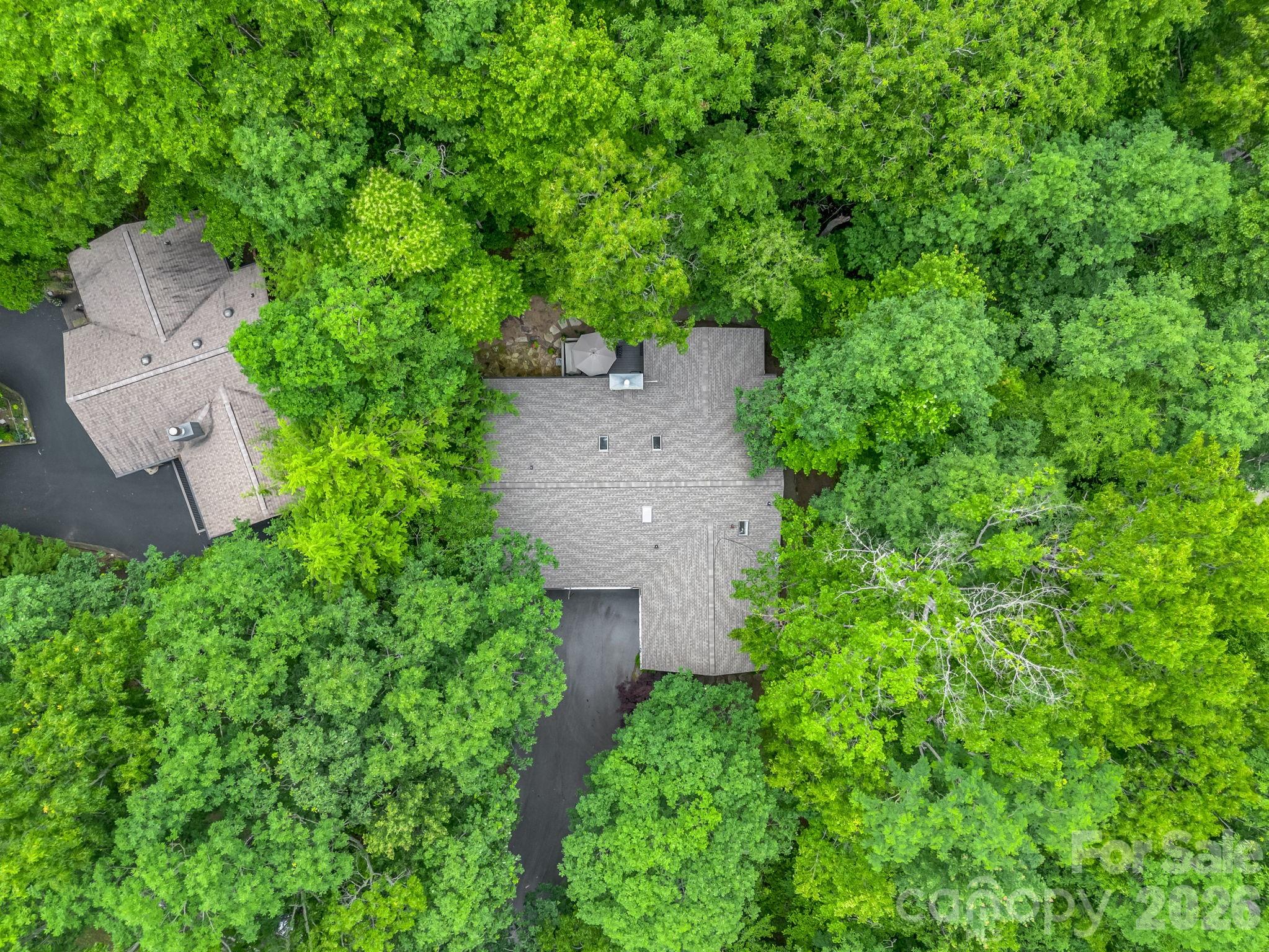 558 Middle Connestee Trail — Brevard