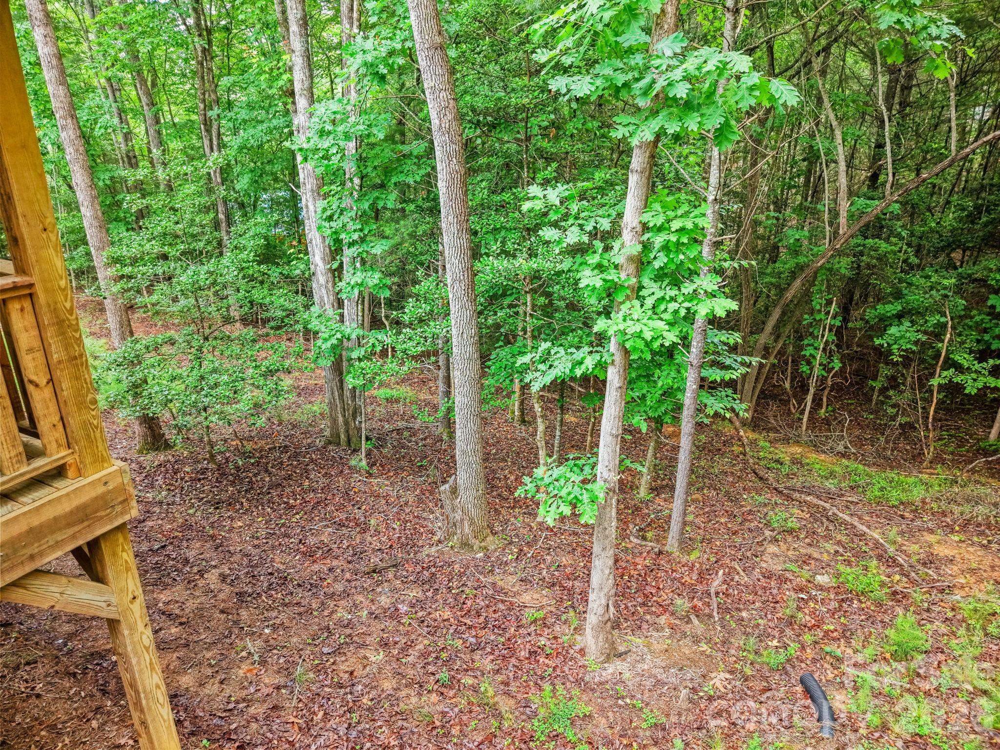 207 Bentley Cove — Murphy