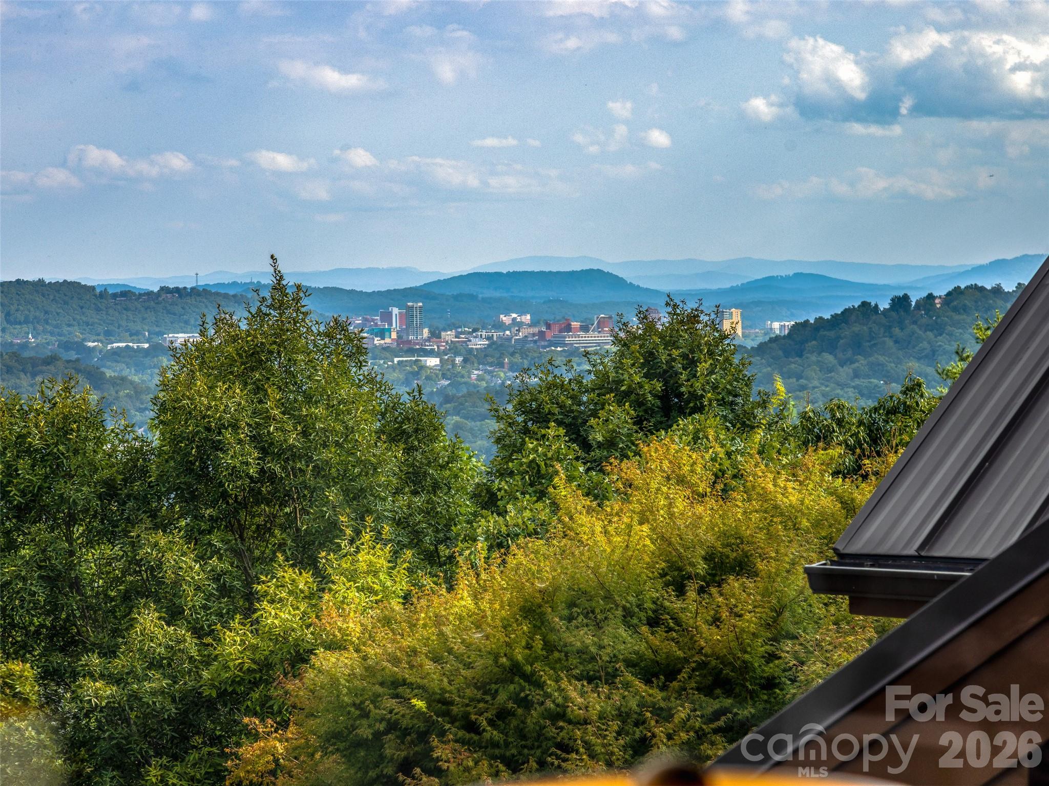 10 Beaverbrook Court — Asheville