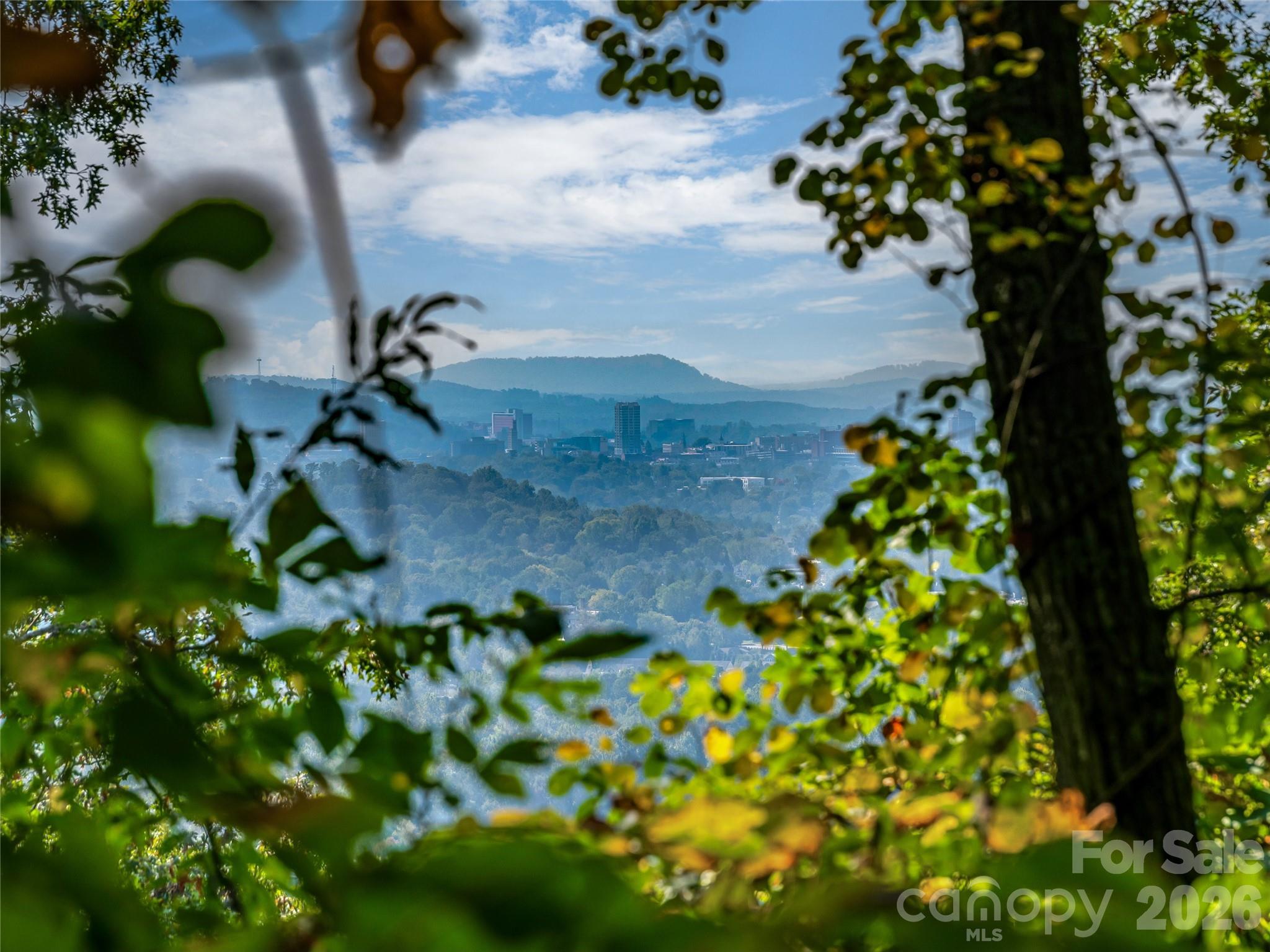 10 Beaverbrook Court — Asheville