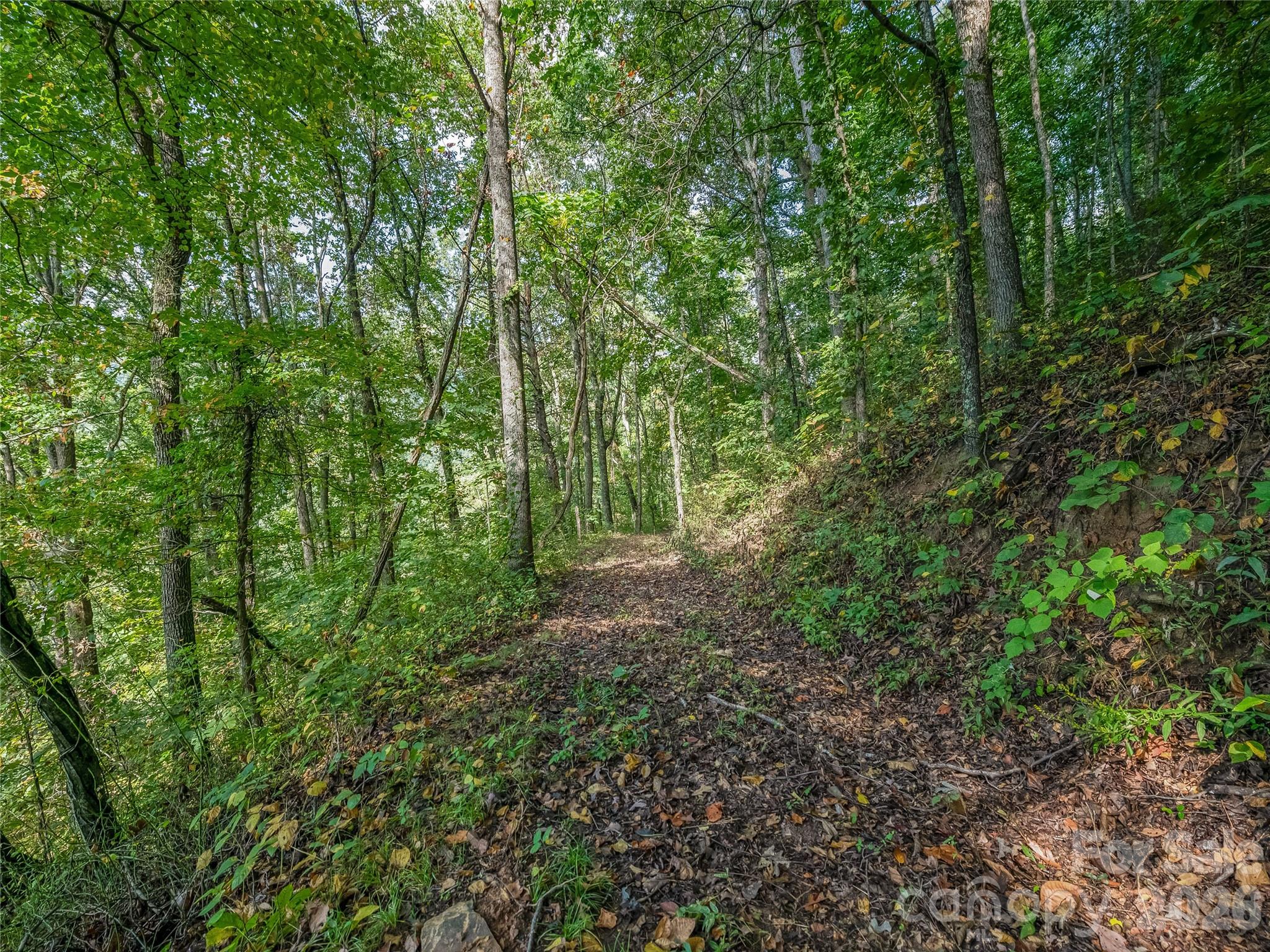 10 Beaverbrook Court — Asheville