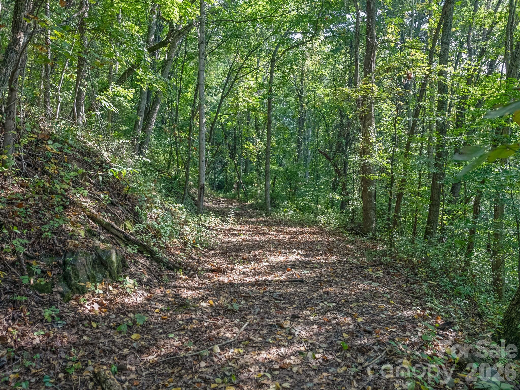 10 Beaverbrook Court — Asheville