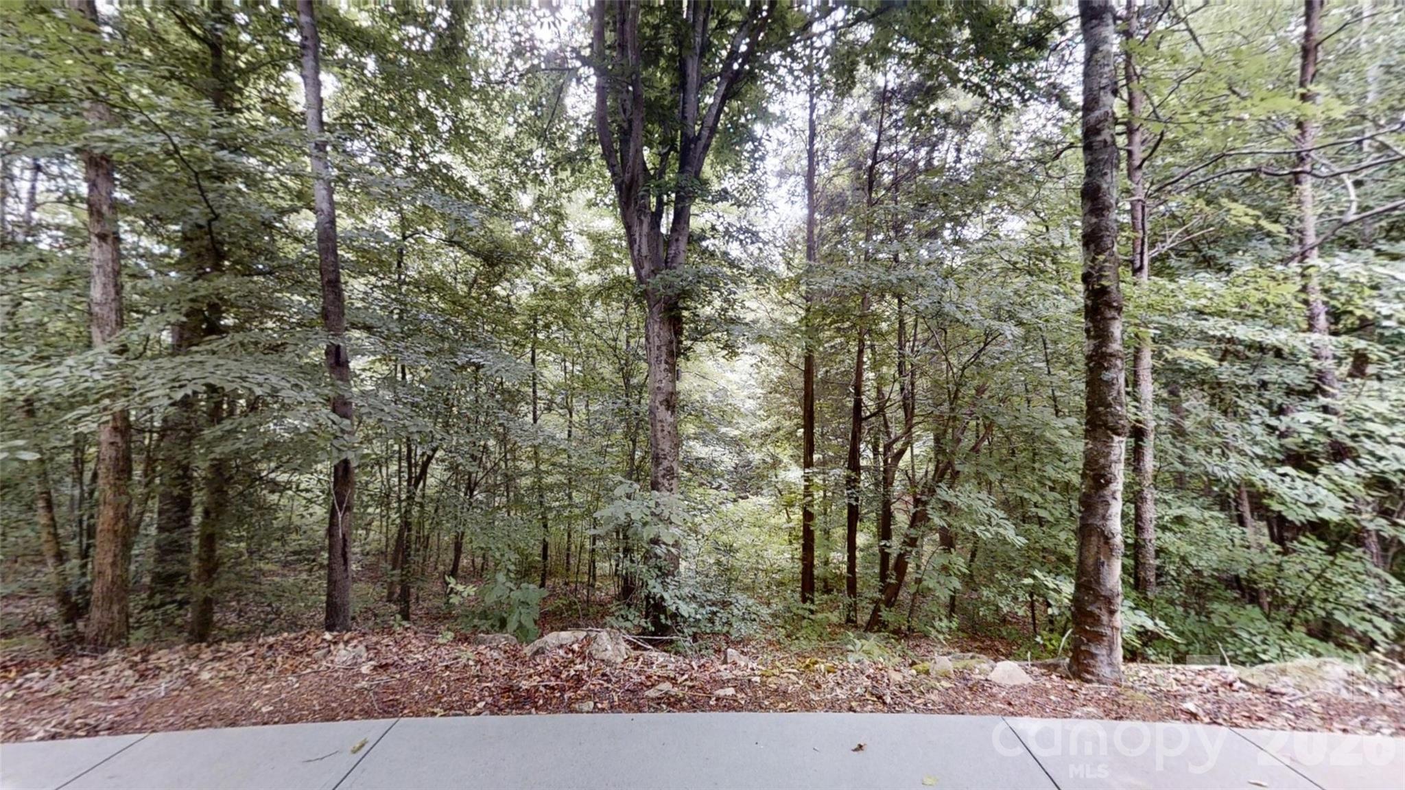 4094 River Birch Drive — Iron Station