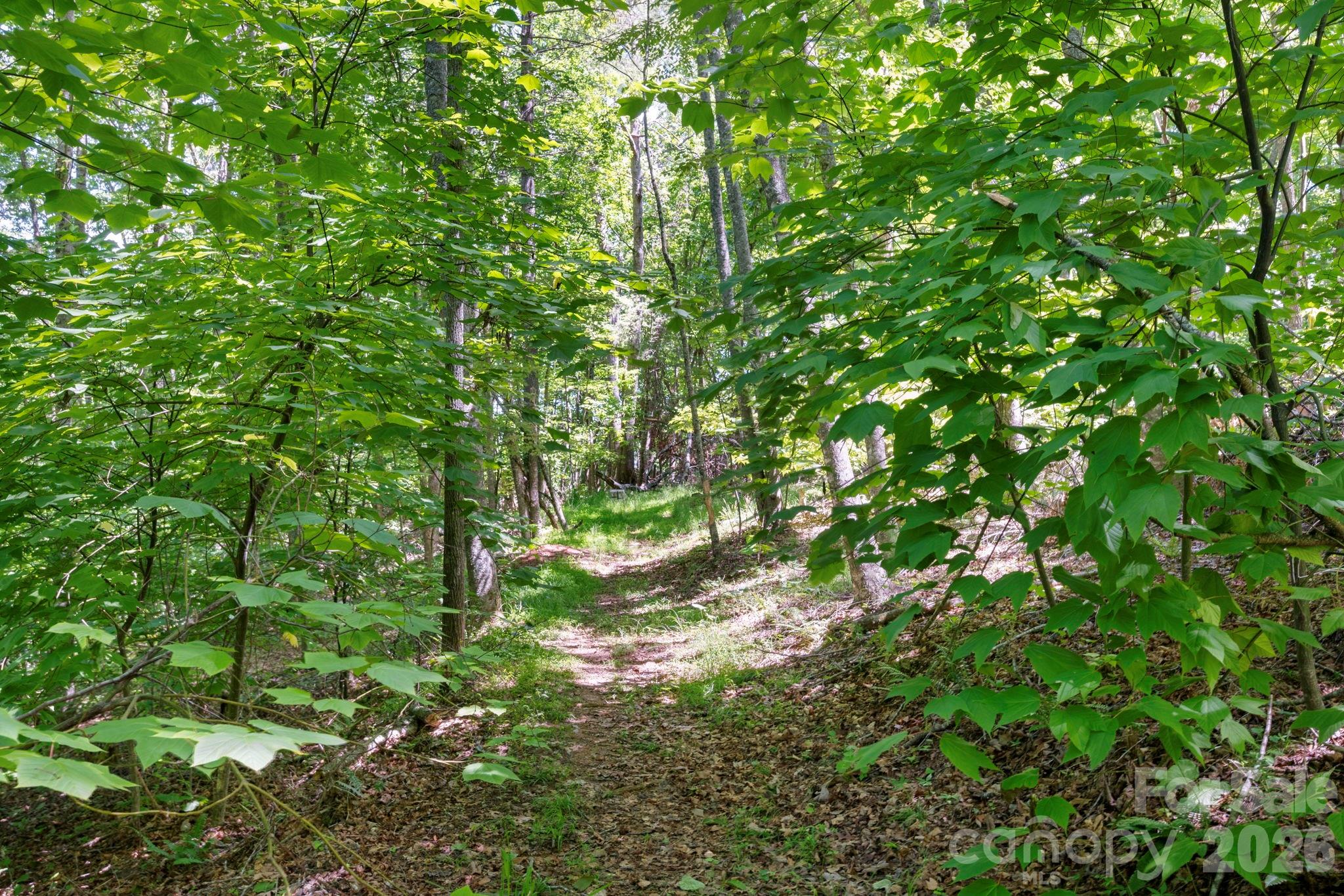 30 Reeves Drive — Burnsville