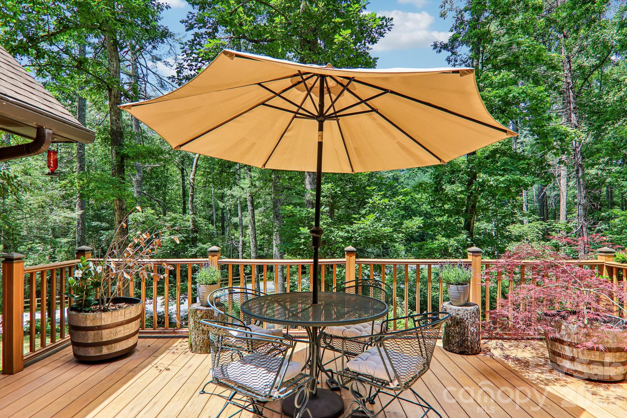 2291 Little River Road — Hendersonville