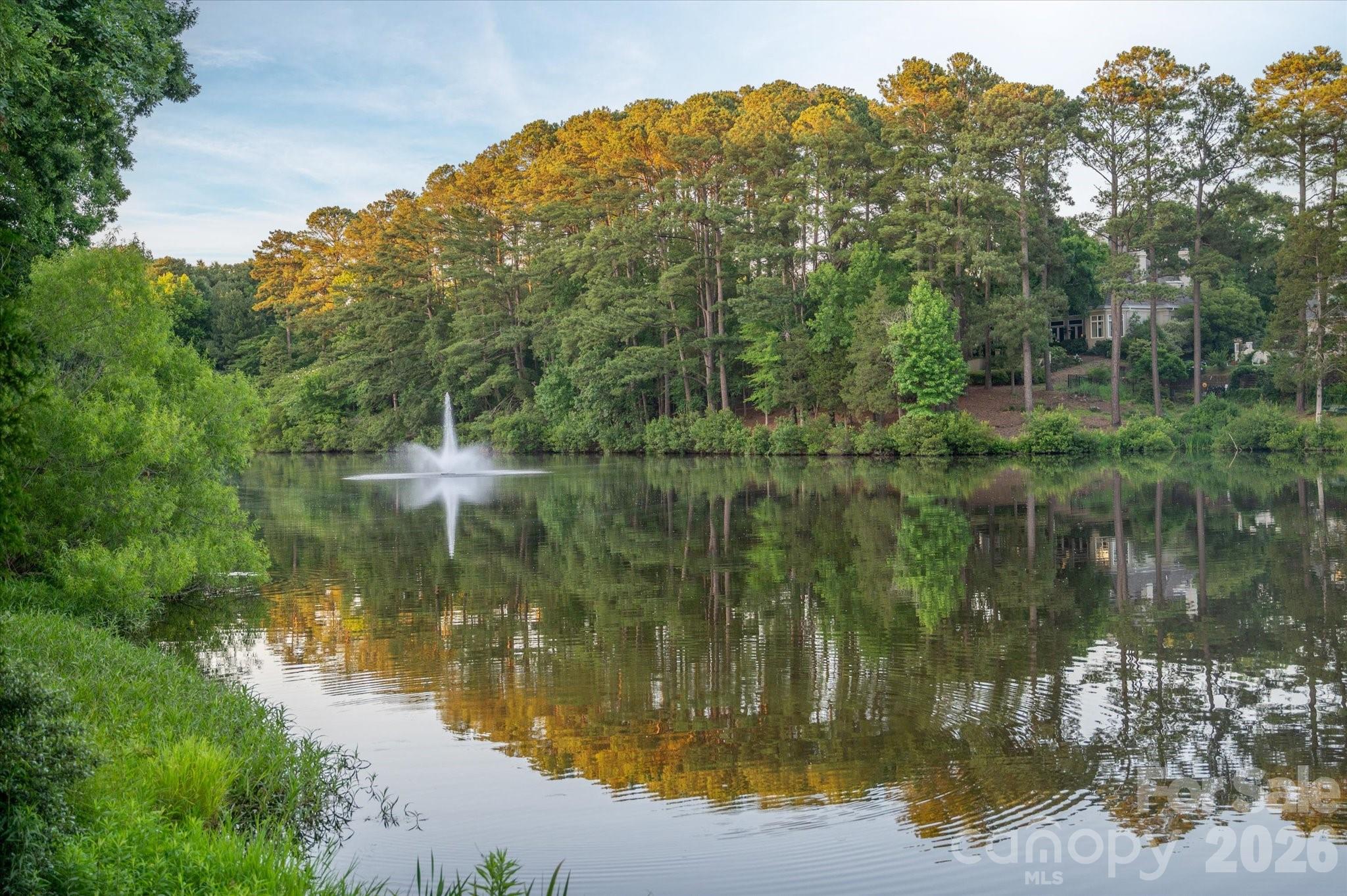 6405 Mitchell Hollow Road — Charlotte
