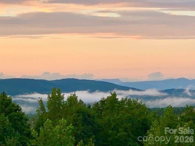 315 Lakeview Trail — Nebo