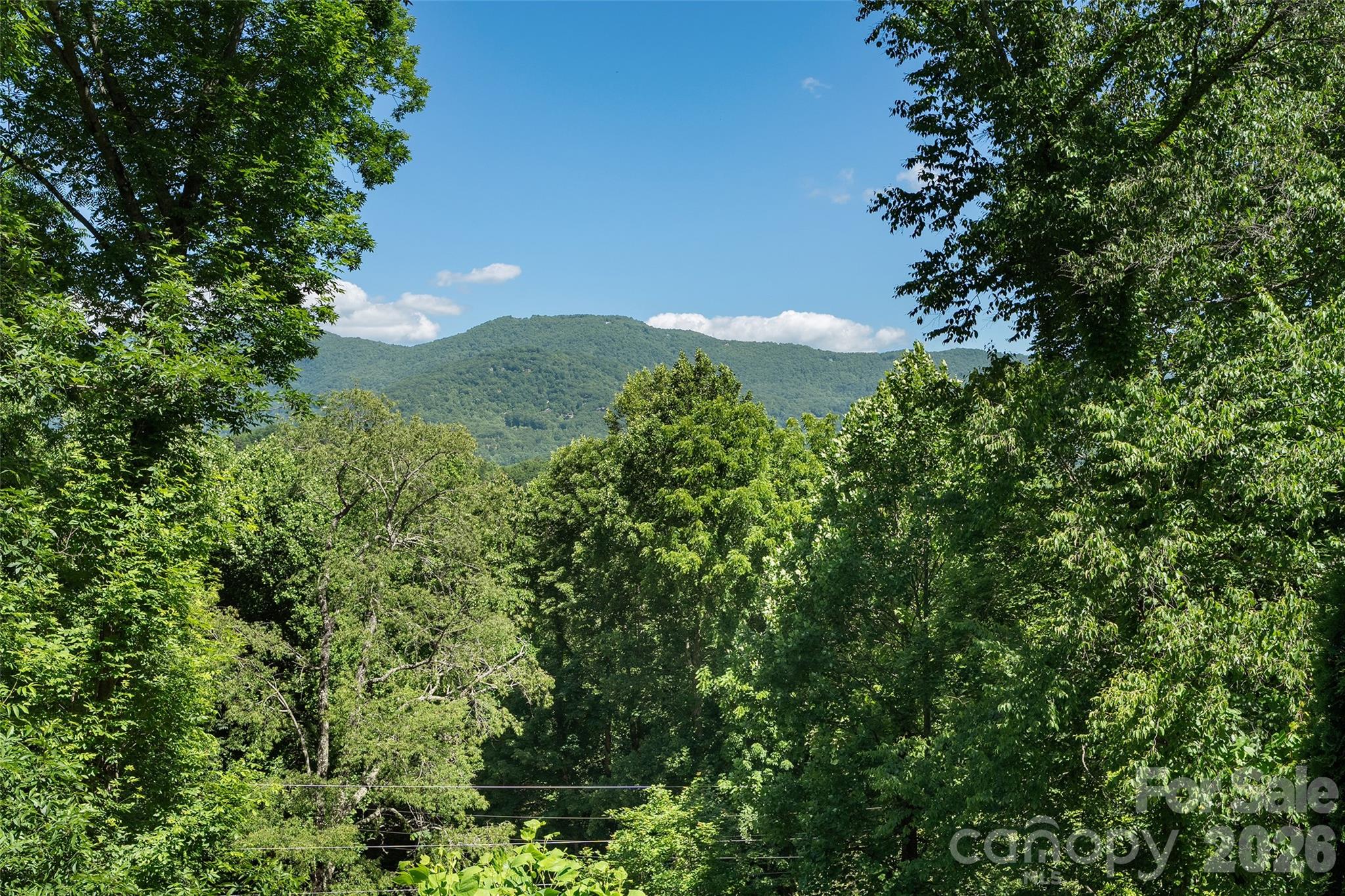 637 April Park — Waynesville
