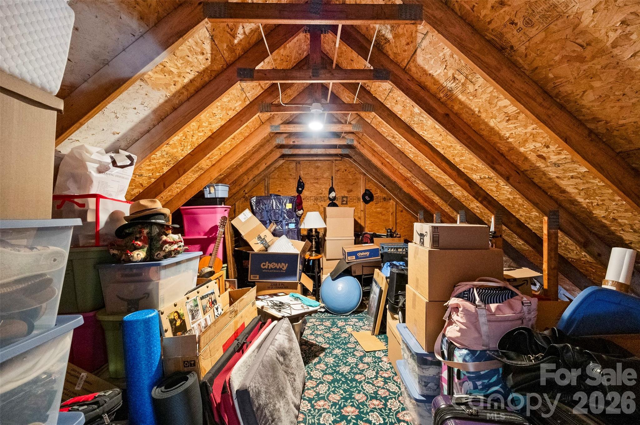 1845 Mountain Trail Drive — Charlotte