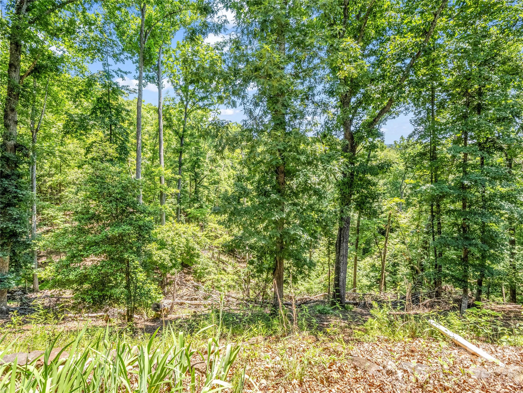 137 Amys Ridge Road — Lake Lure