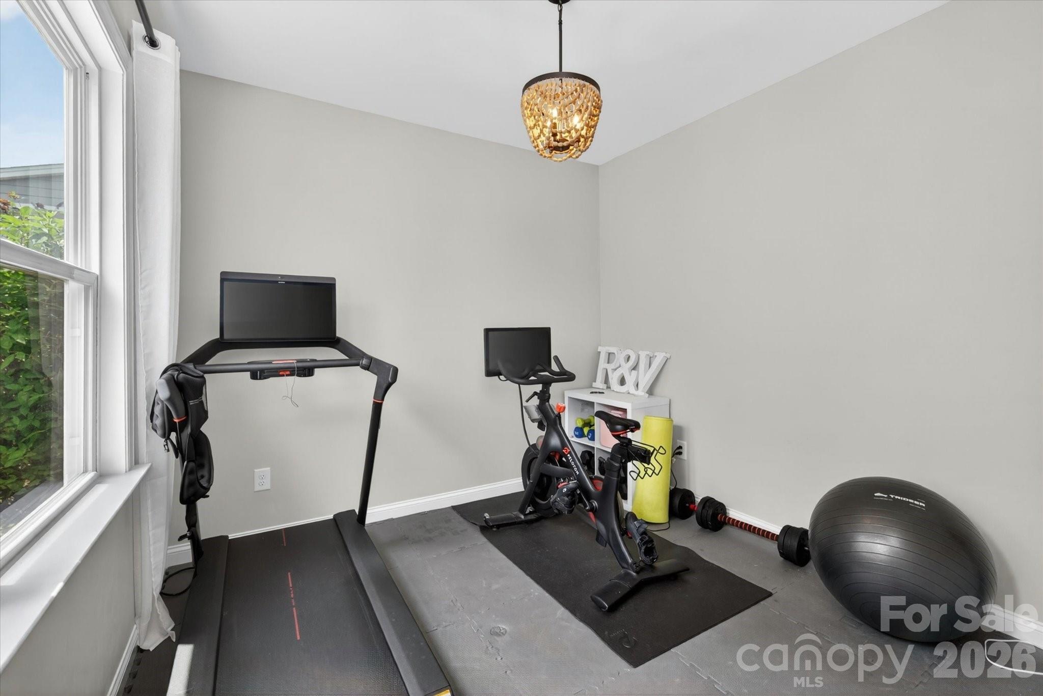 3009 Winged Teal Court — Belmont
