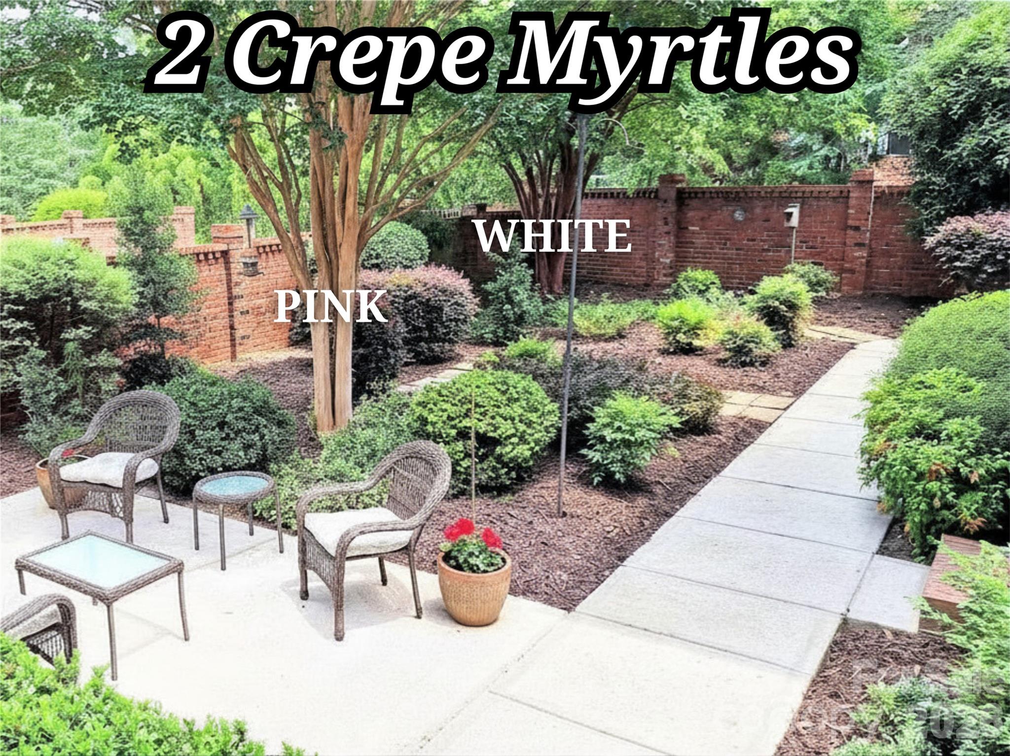 232 Hawthorne Park Avenue — Belmont