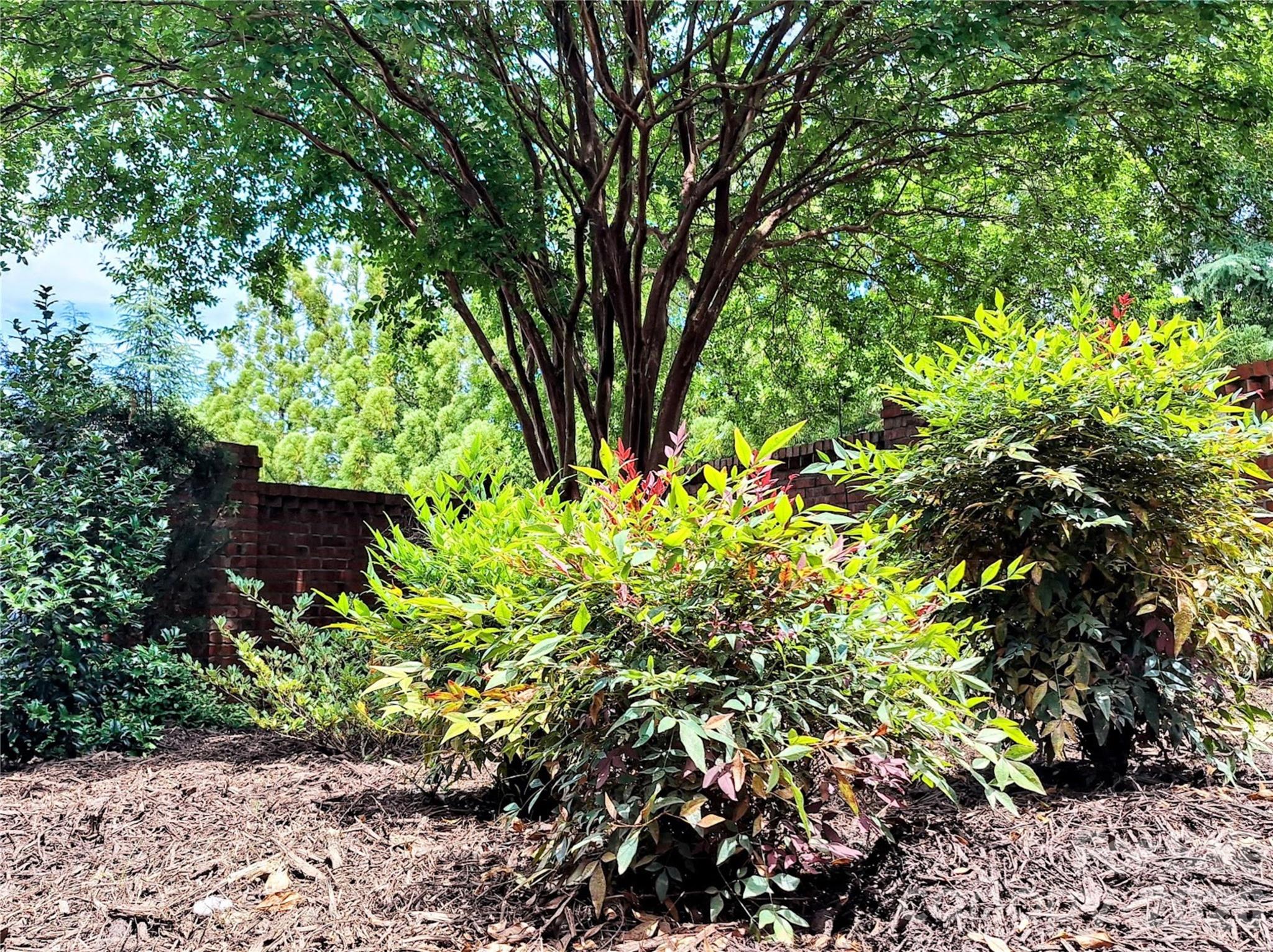 232 Hawthorne Park Avenue — Belmont