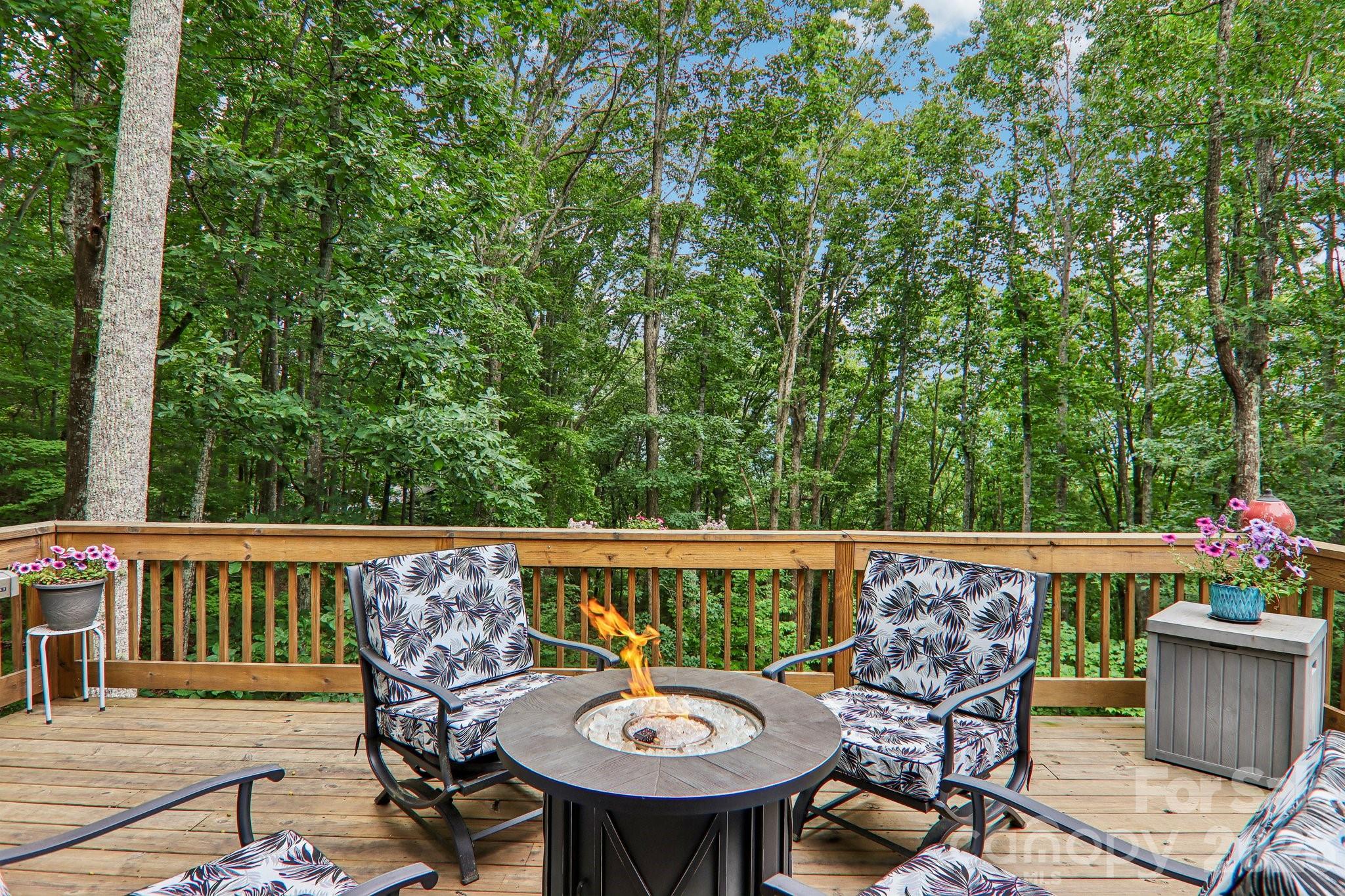 49 Wilderness Trail — Candler