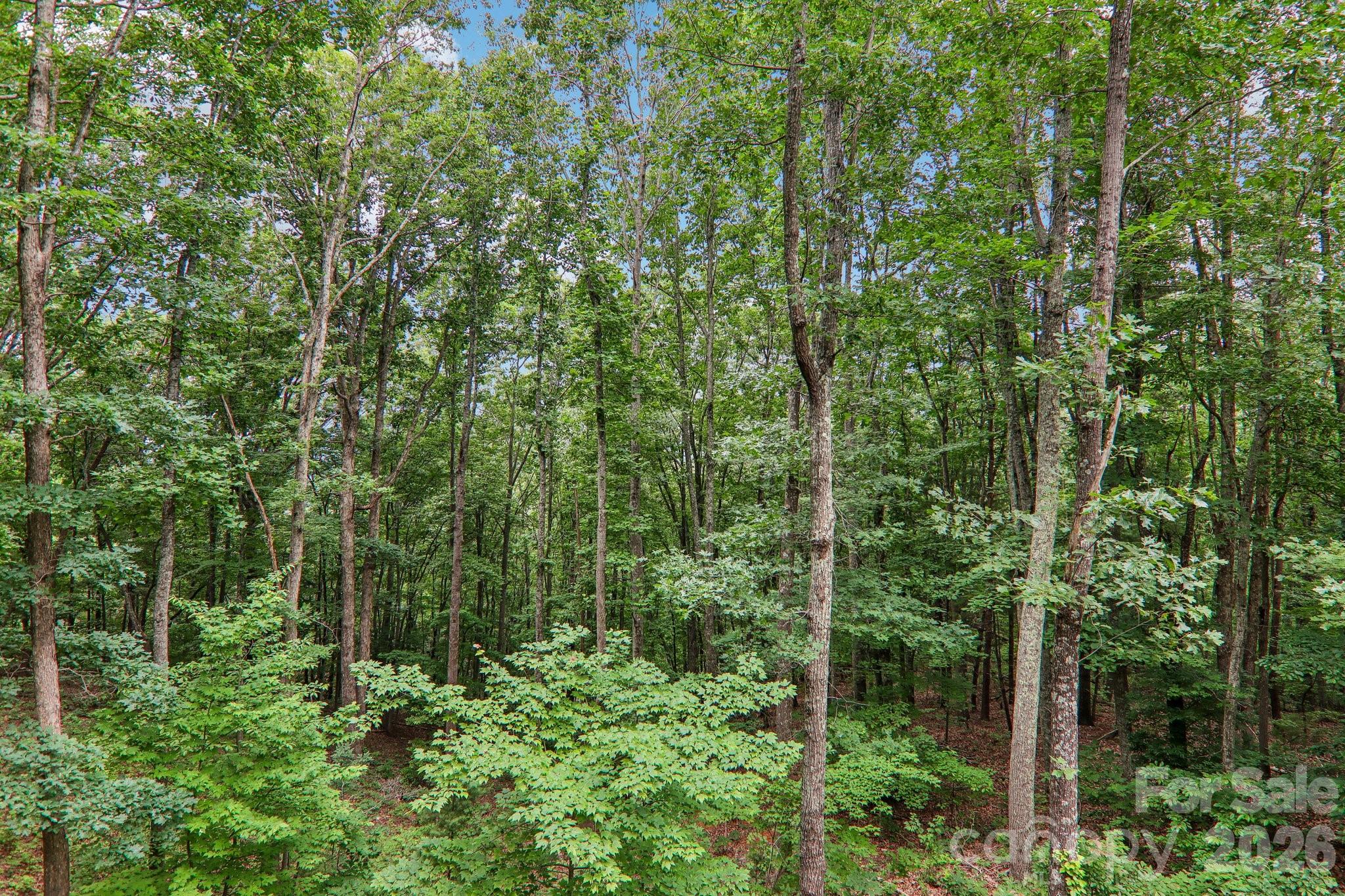 49 Wilderness Trail — Candler