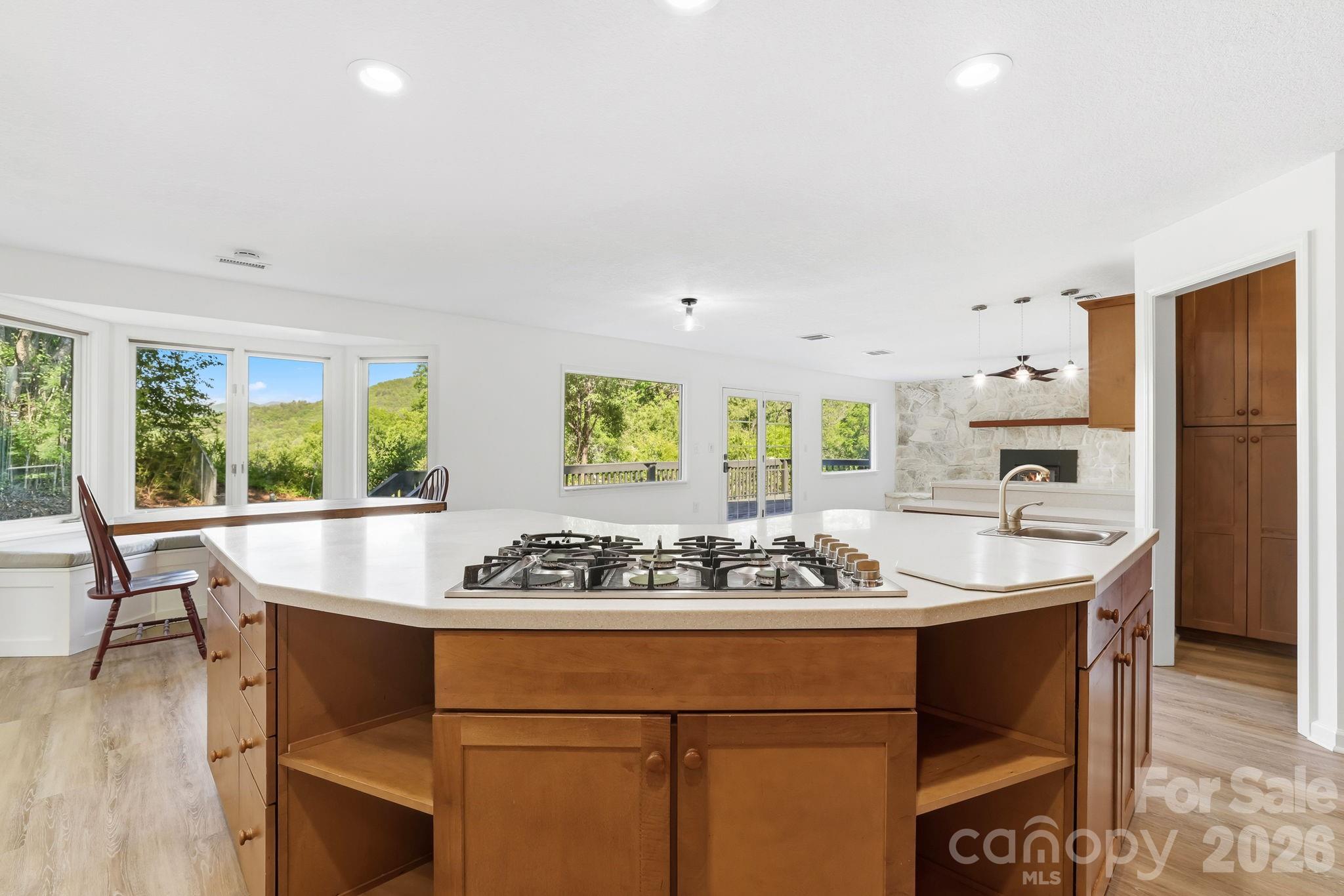 270 Blake Branch Road — Sylva